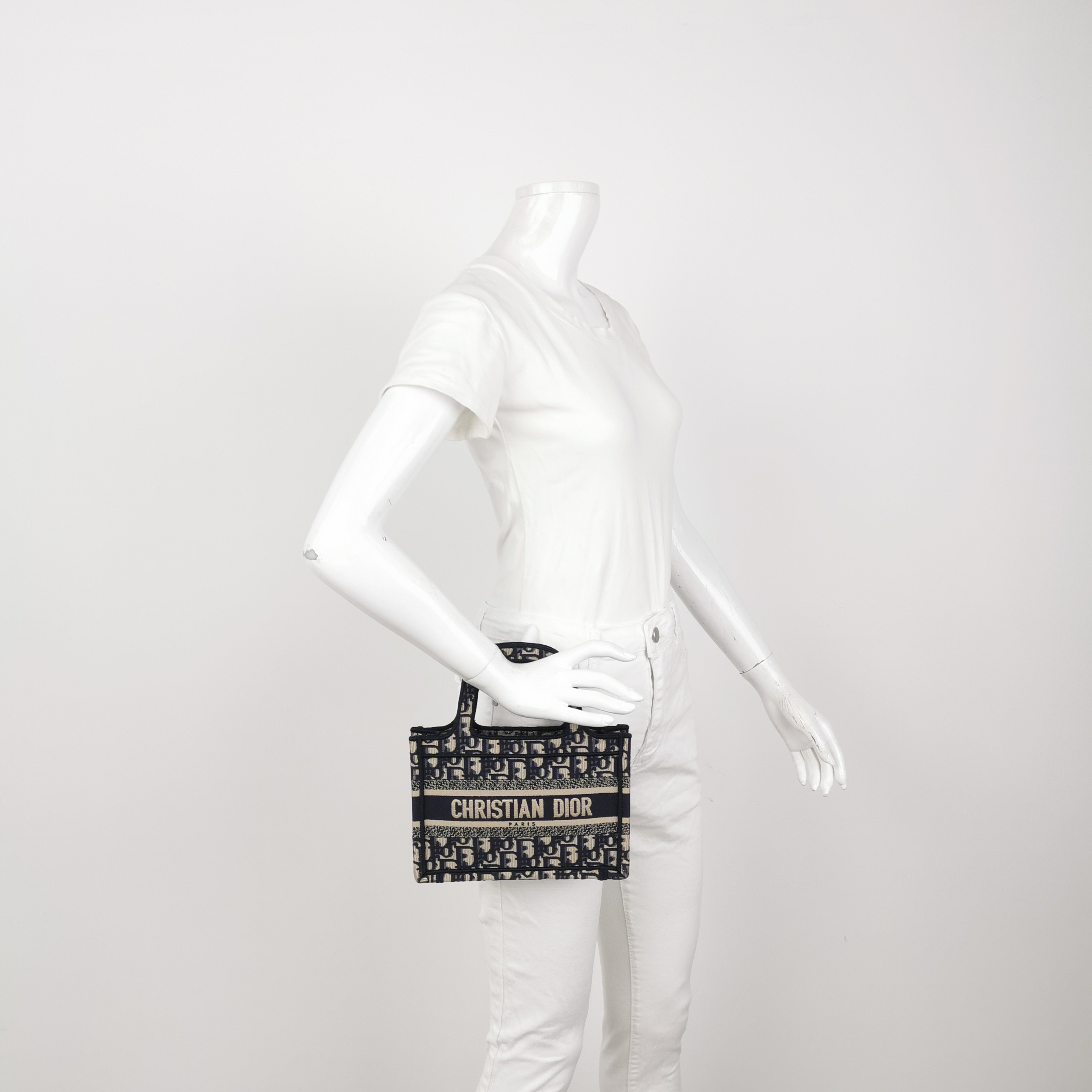 Dior Book Tote Oblique Canvas Mini — alternate view