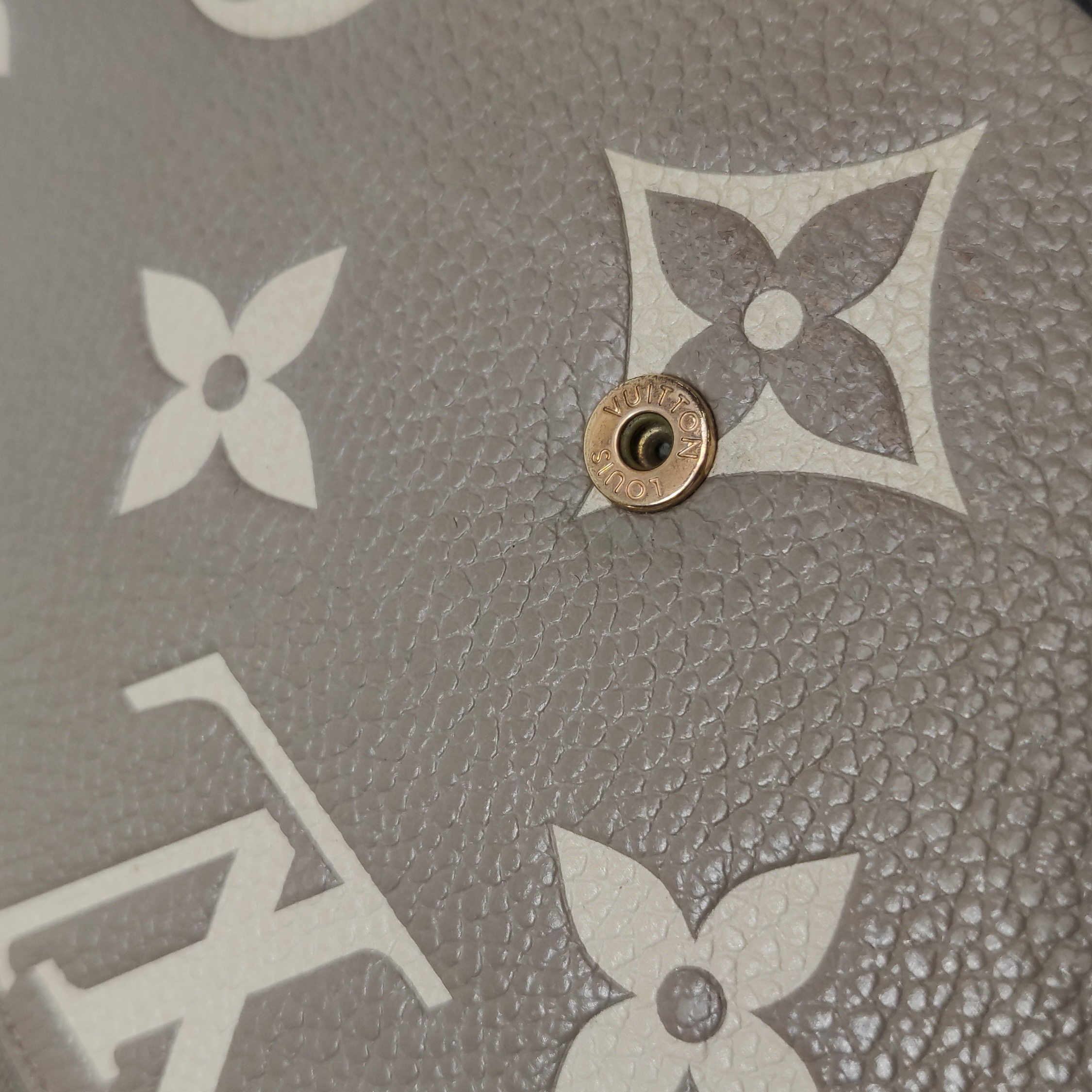 Louis Vuitton(LV) Felicie Pochette Bicolor Monogram Empreinte Giant — photo 12 of 14