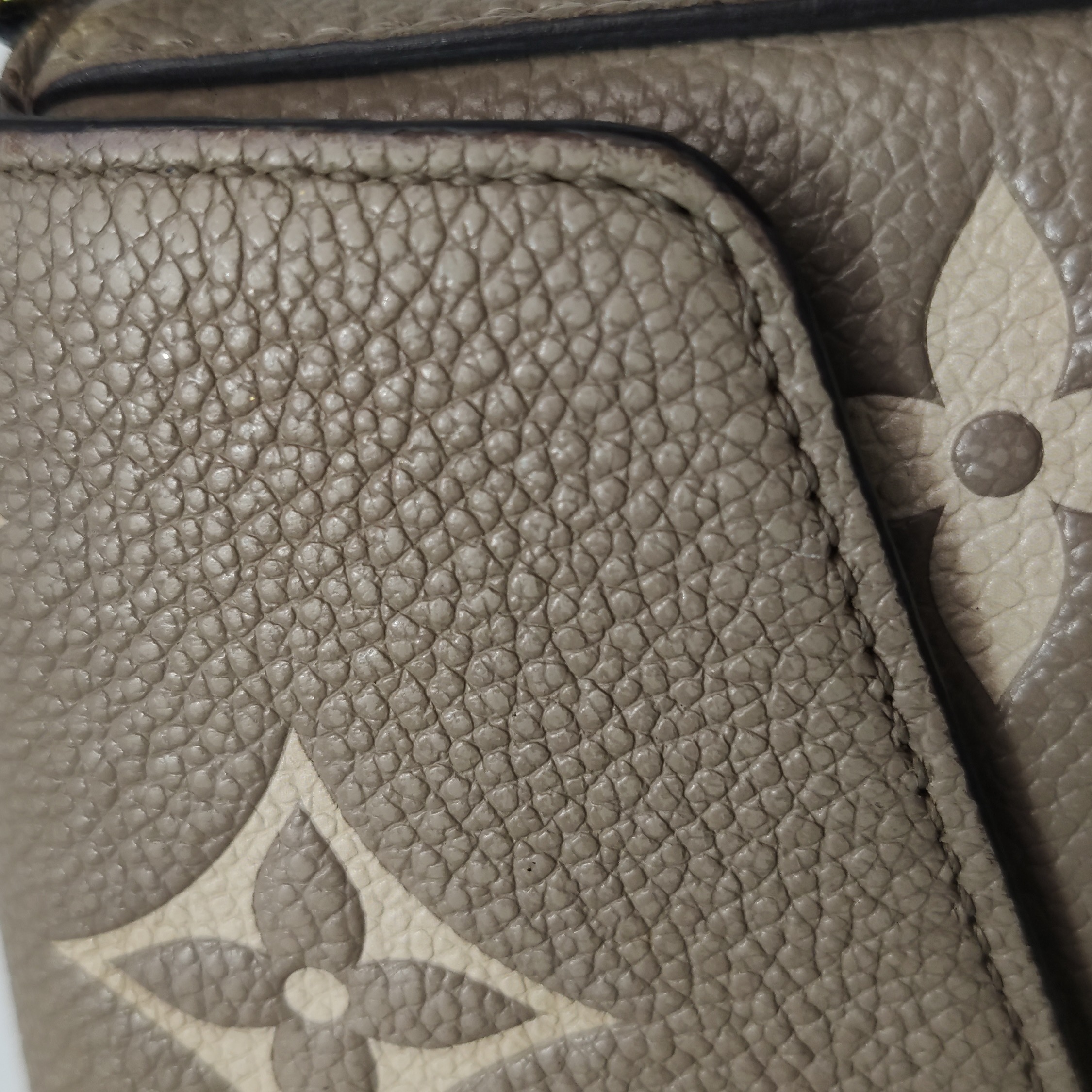 Louis Vuitton(LV) Felicie Pochette Bicolor Monogram Empreinte Giant — photo 11 of 14