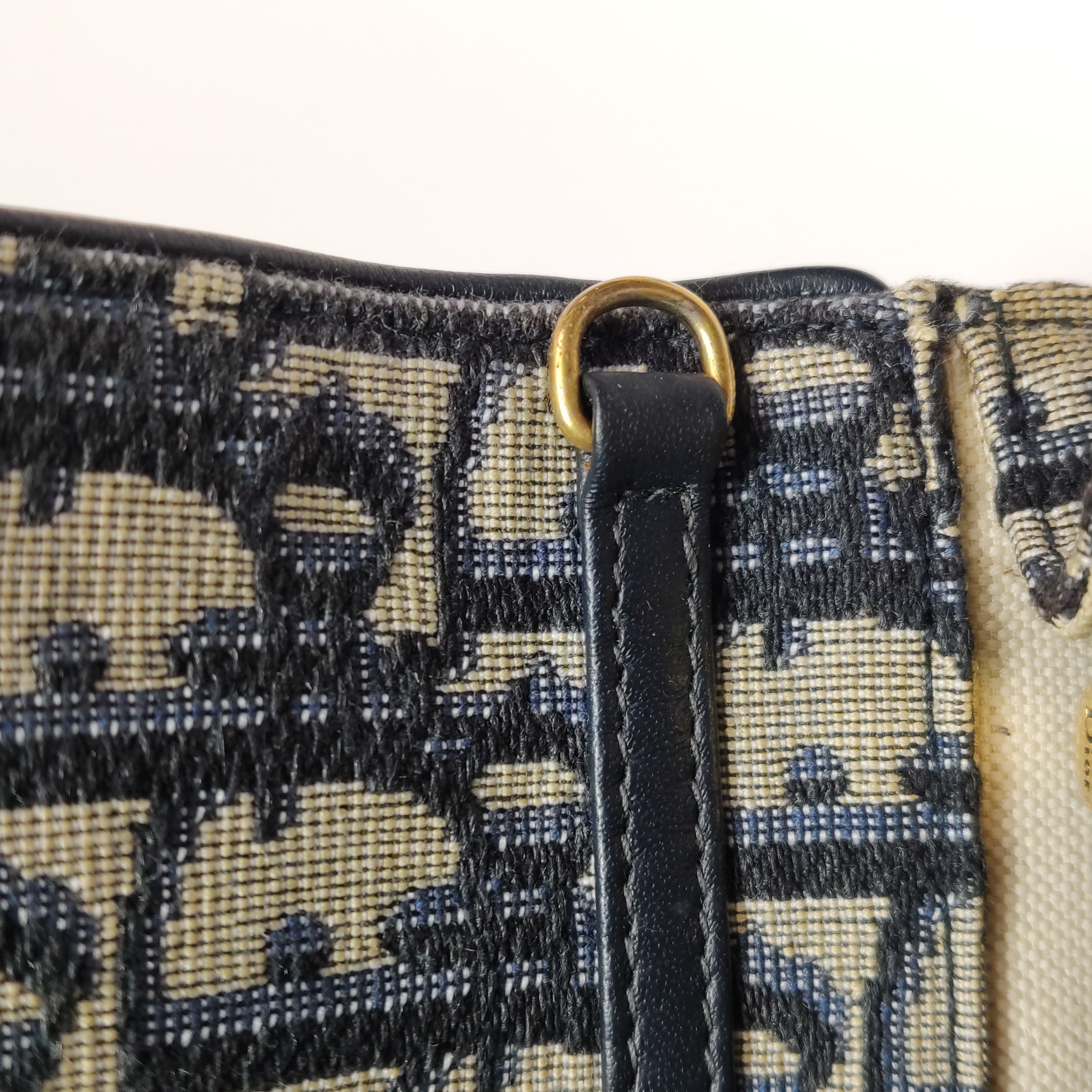 Dior Saddle Chain Clutch Oblique Canvas — photo 9 of 20
