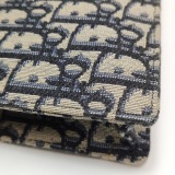 Dior Saddle Chain Clutch Oblique Canvas — thumbnail 20