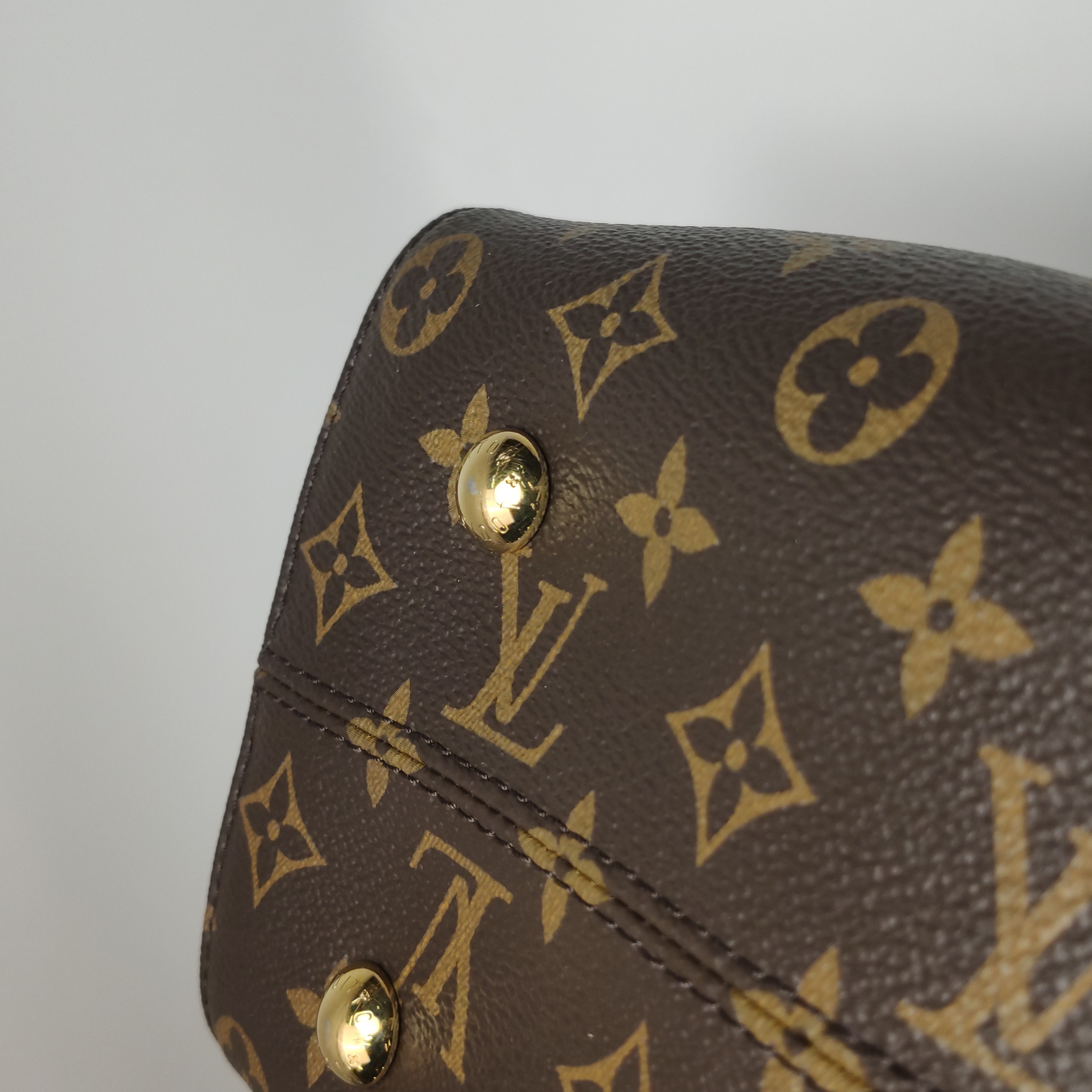 Louis Vuitton(LV) Tuileries Handbag Monogram Canvas with Leather — photo 24 of 25