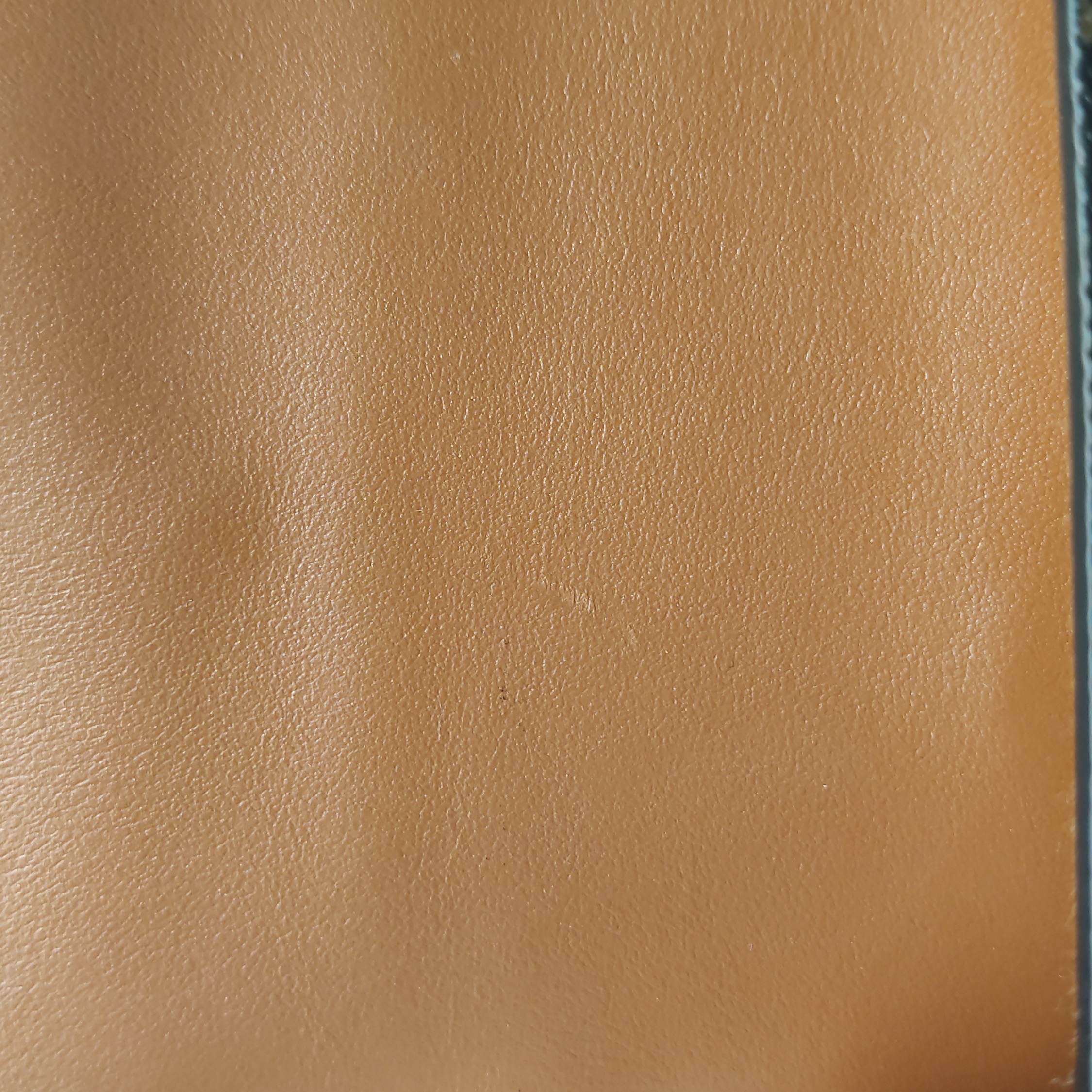 Celine Tabou Clutch with Strap Triomphe Coated Canvas — photo 10 of 13