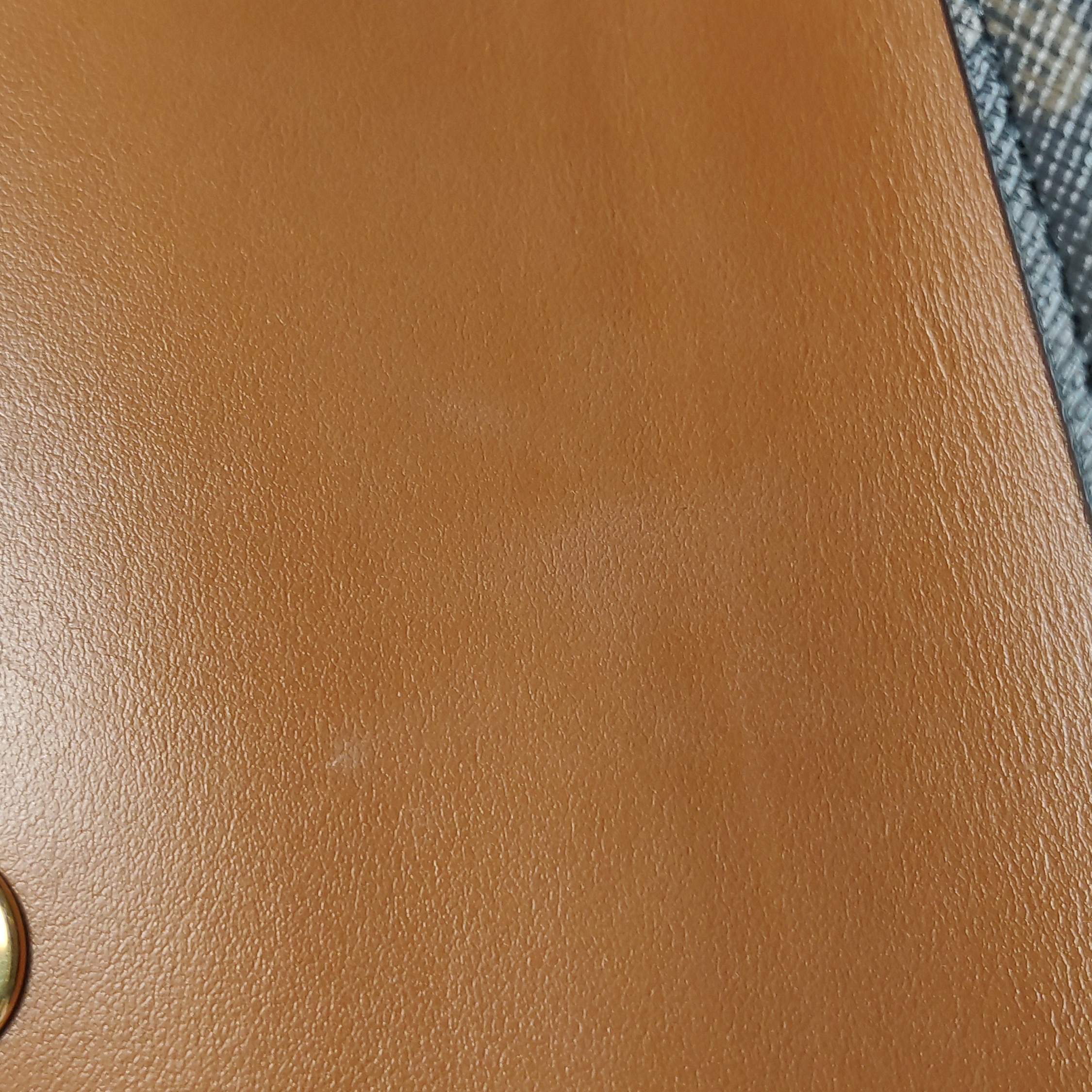 Celine Tabou Clutch with Strap Triomphe Coated Canvas — photo 10 of 14