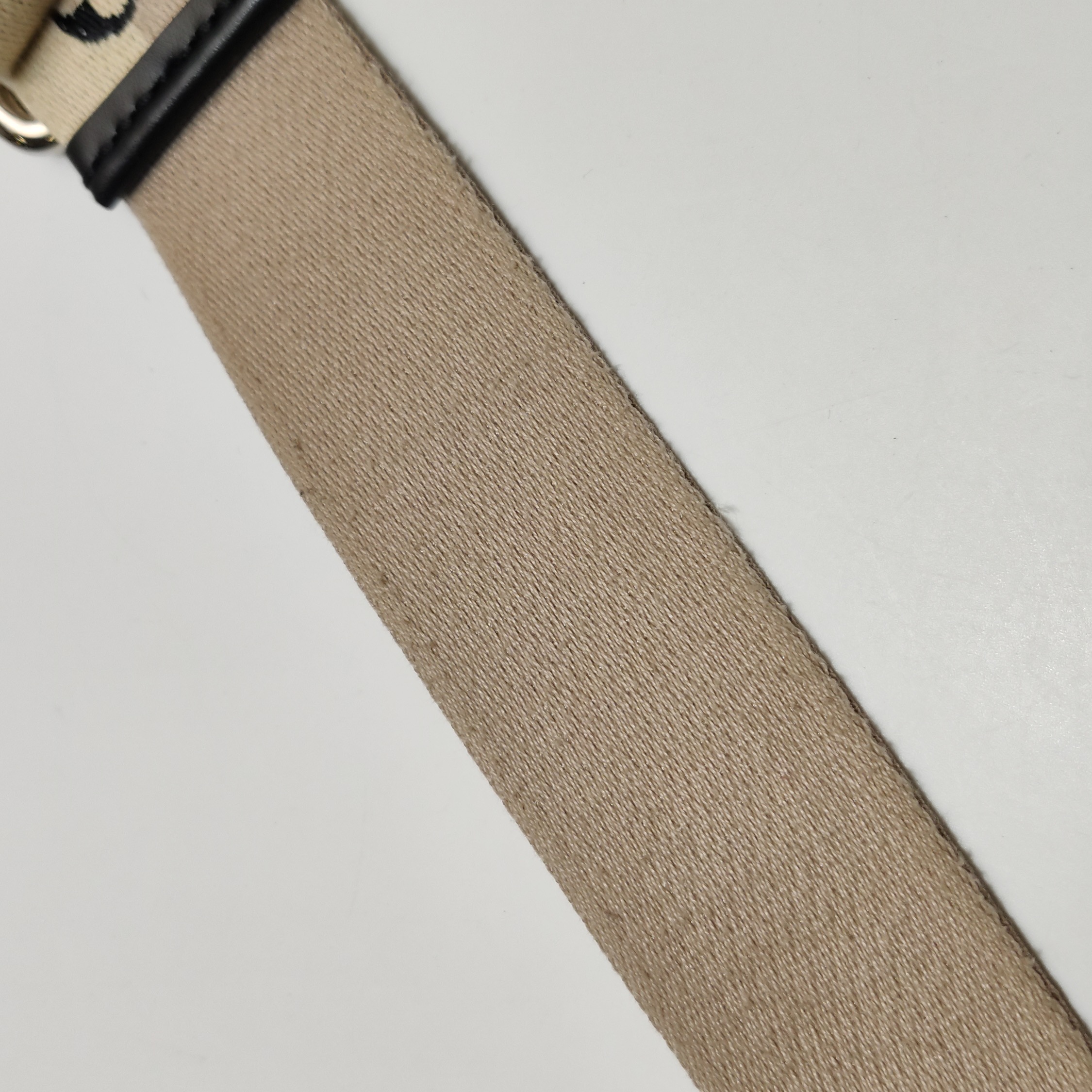 Louis Vuitton(LV) Petit Sac Plat Bag Epi Leather with Logo Jacquard Strap — photo 10 of 11