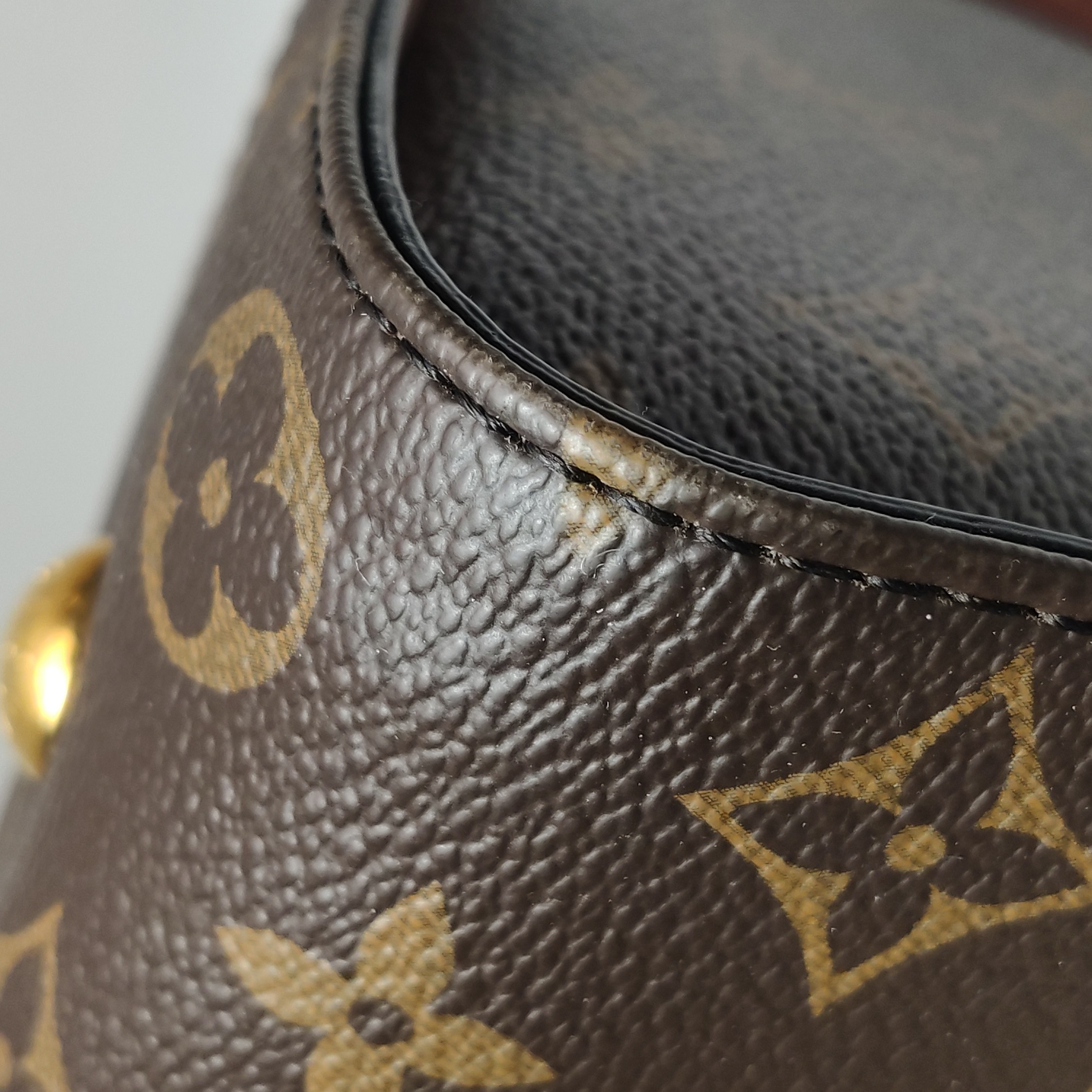 Louis Vuitton(LV) Tuileries Handbag Monogram Canvas with Leather — photo 11 of 19