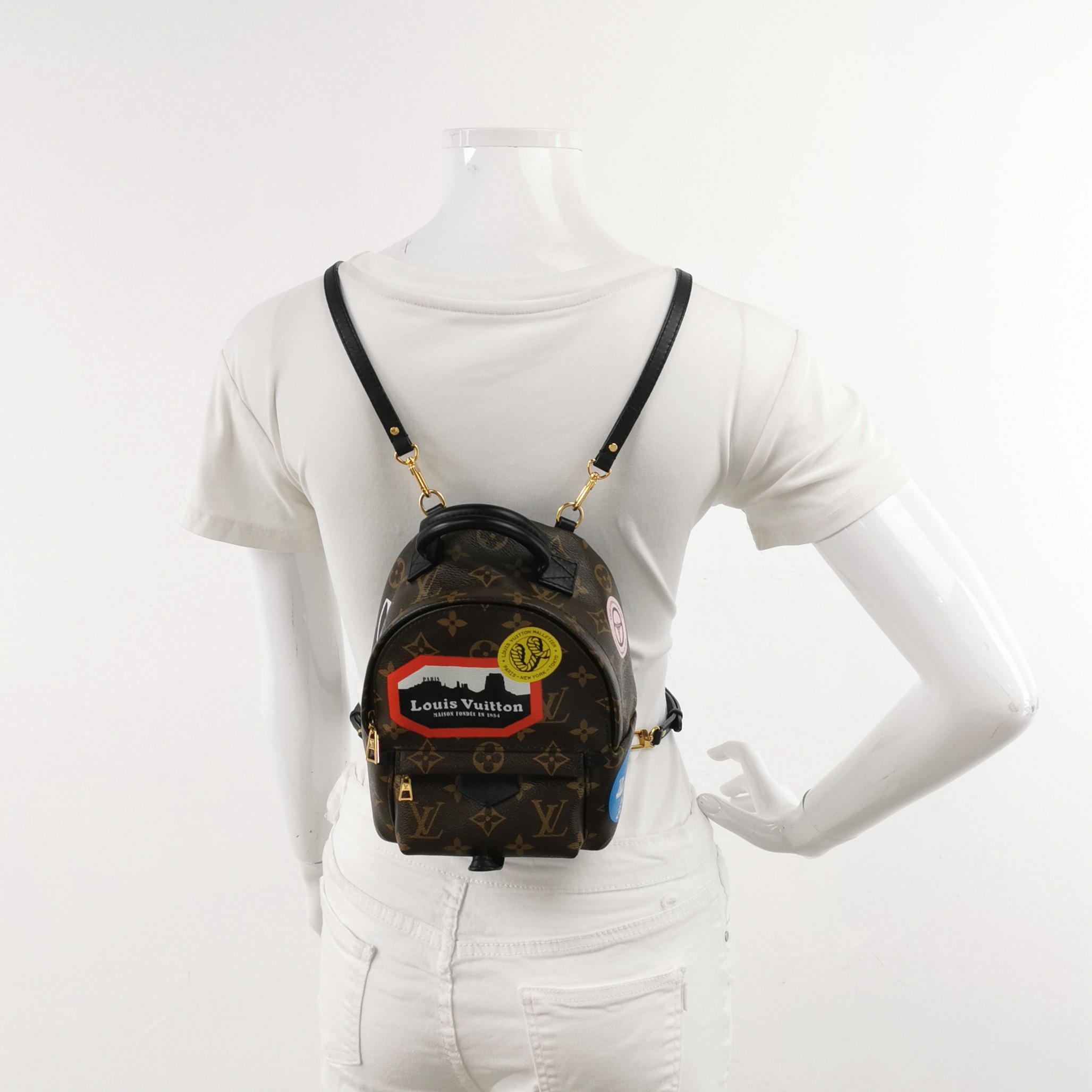 Louis Vuitton(LV) Palm Springs Backpack Limited Edition Monogram Canvas Mini — alternate view