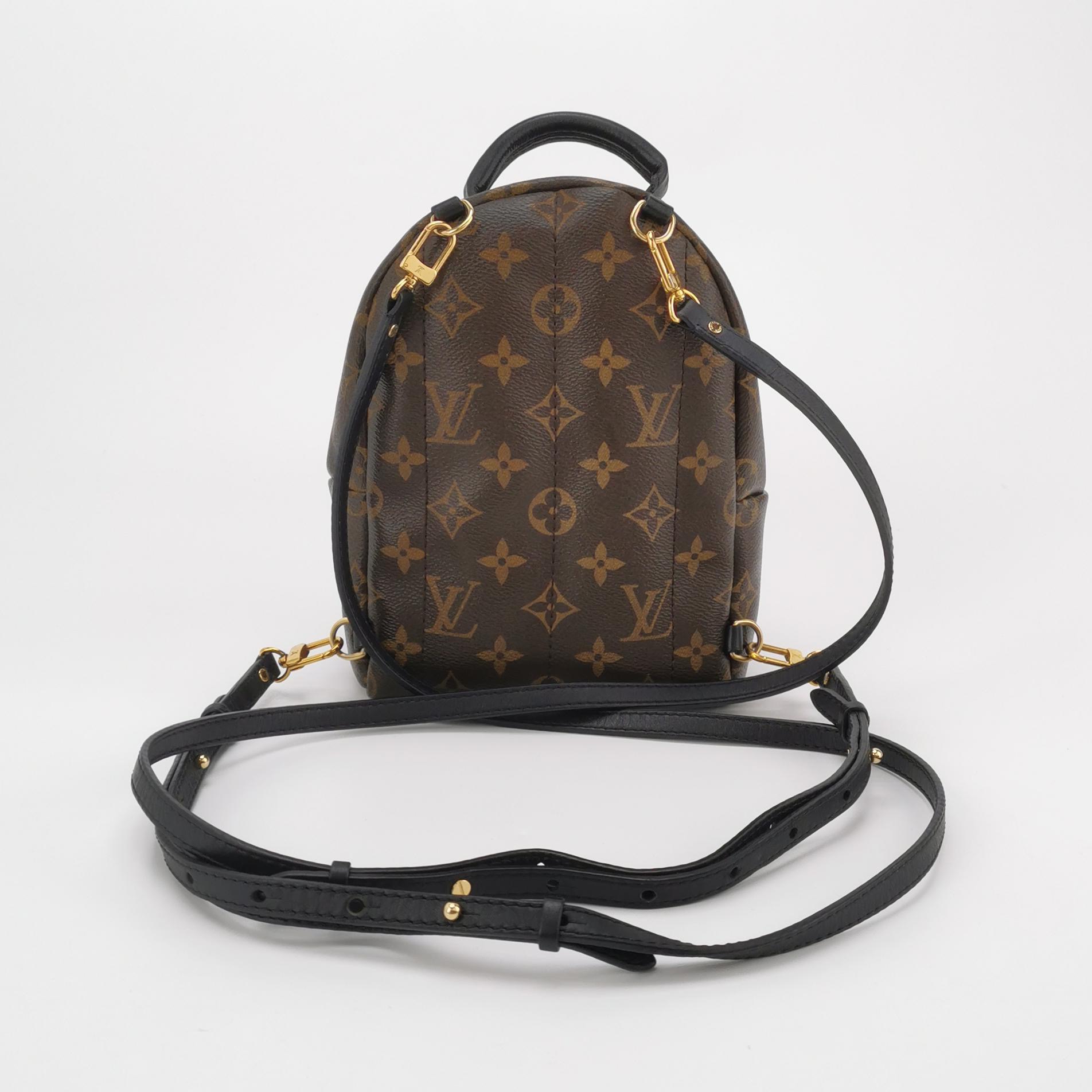 Louis Vuitton(LV) Palm Springs Backpack Limited Edition Monogram Canvas Mini — photo 3 of 13