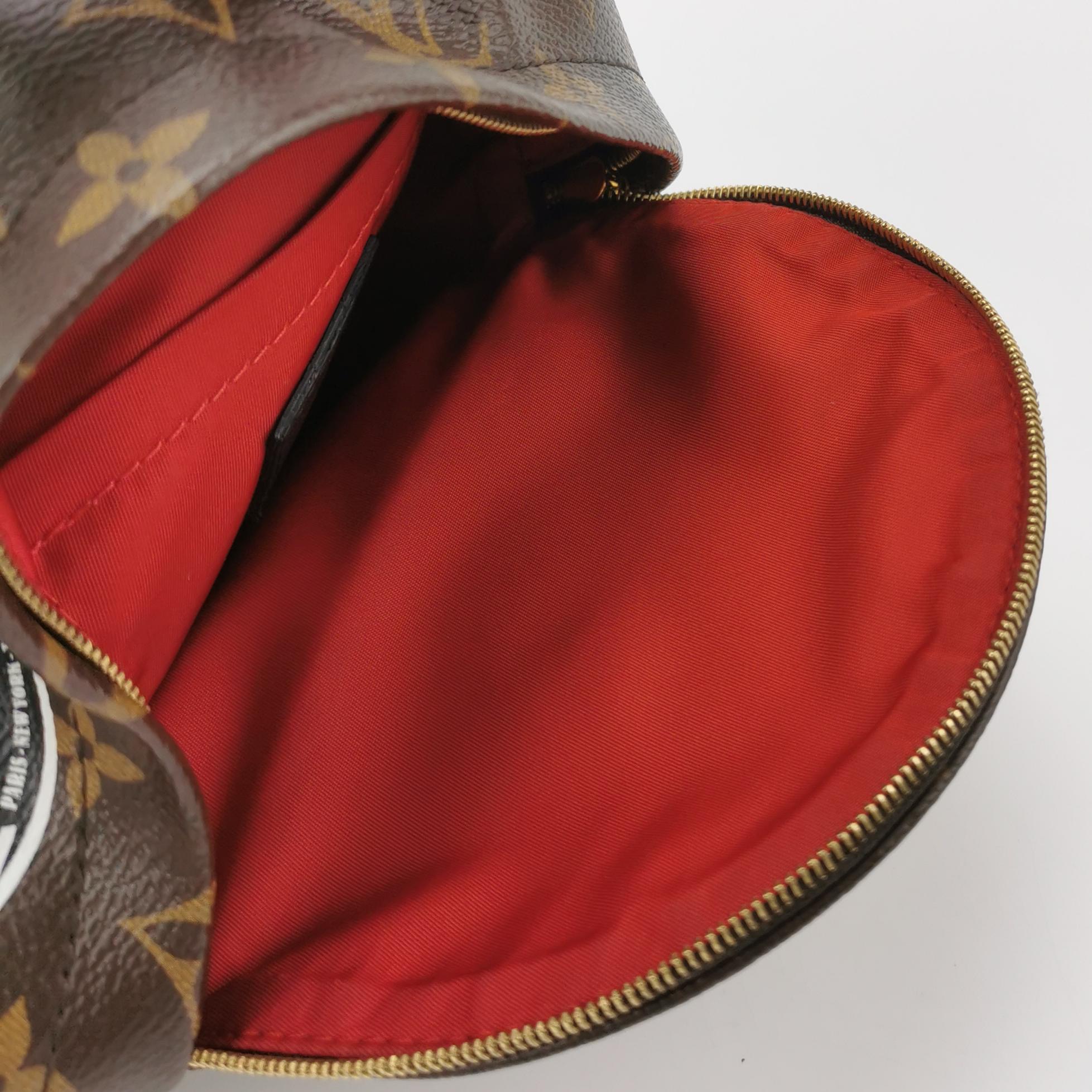 Louis Vuitton(LV) Palm Springs Backpack Limited Edition Monogram Canvas Mini — photo 7 of 13