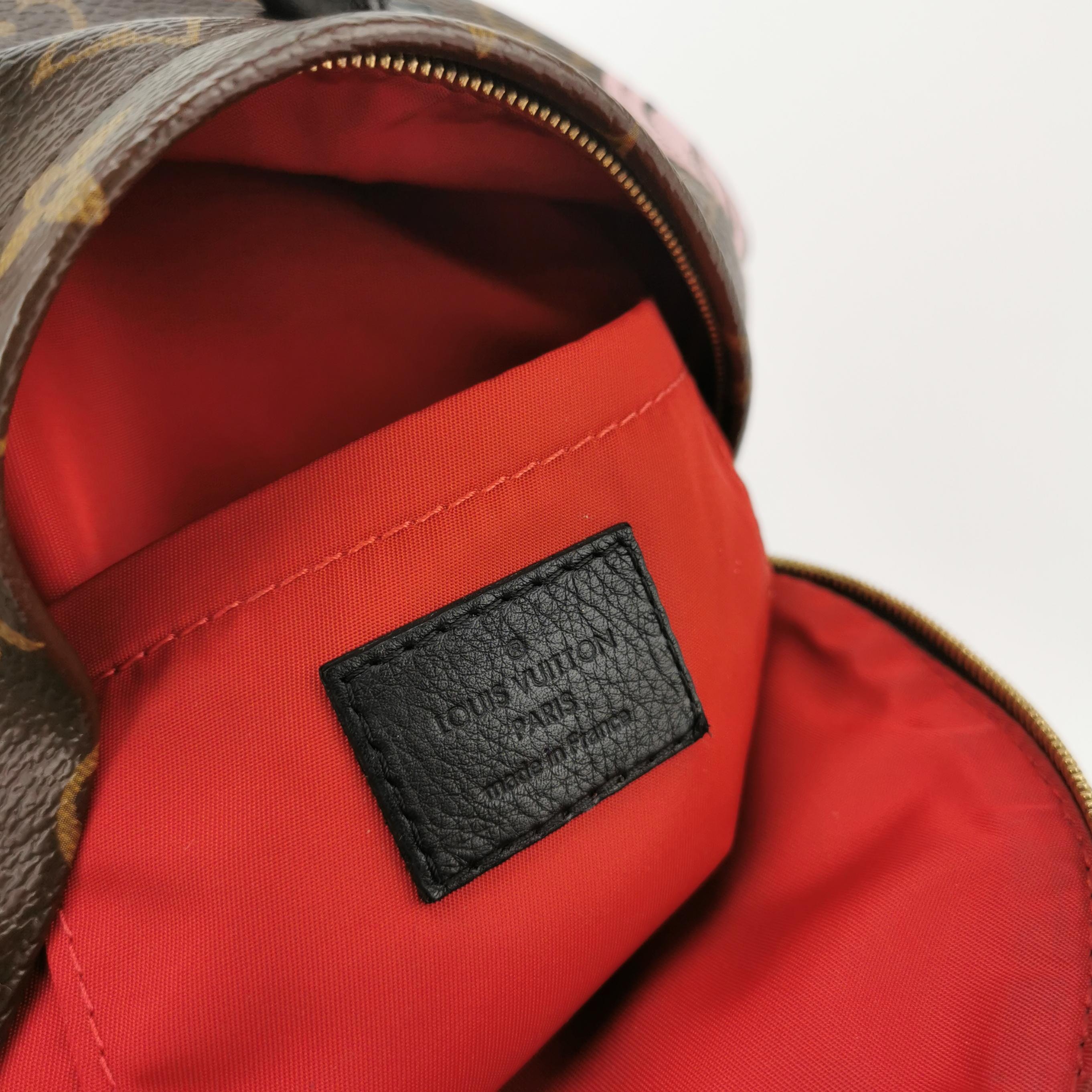 Louis Vuitton(LV) Palm Springs Backpack Limited Edition Monogram Canvas Mini — photo 8 of 13