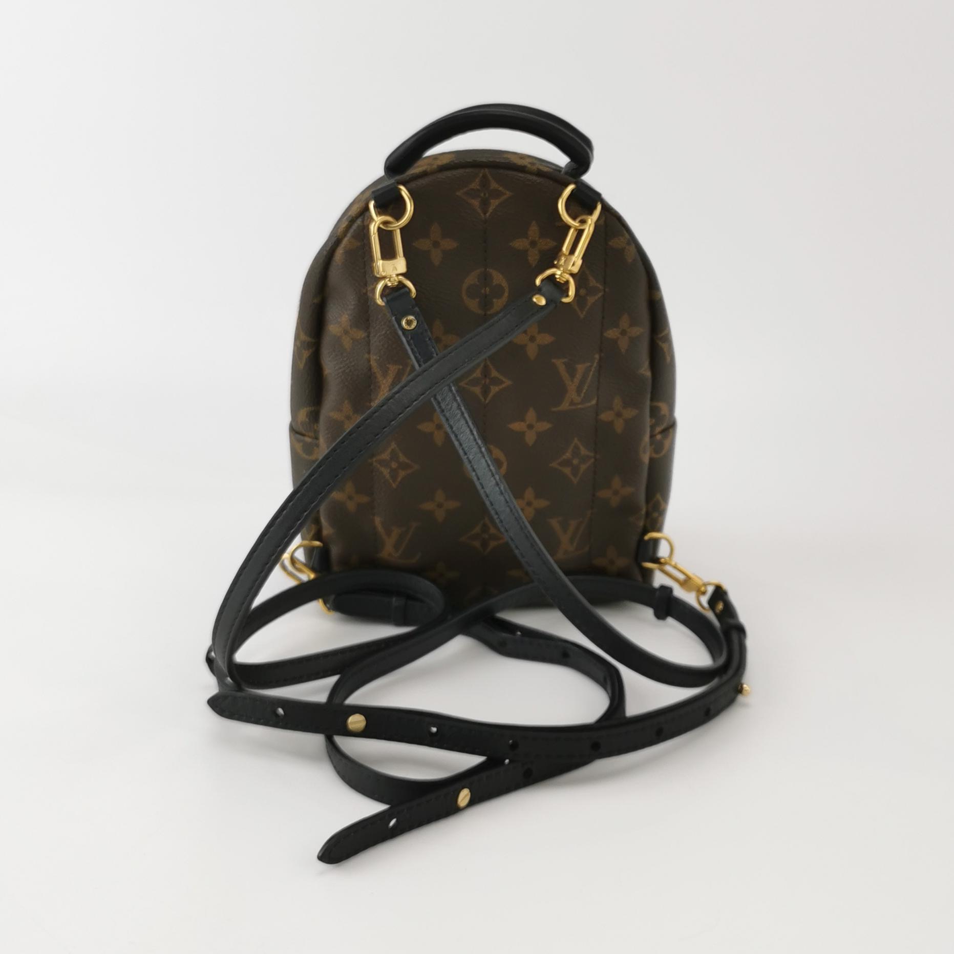 Louis Vuitton(LV) Palm Springs Backpack Limited Edition Monogram Canvas Mini — photo 3 of 14