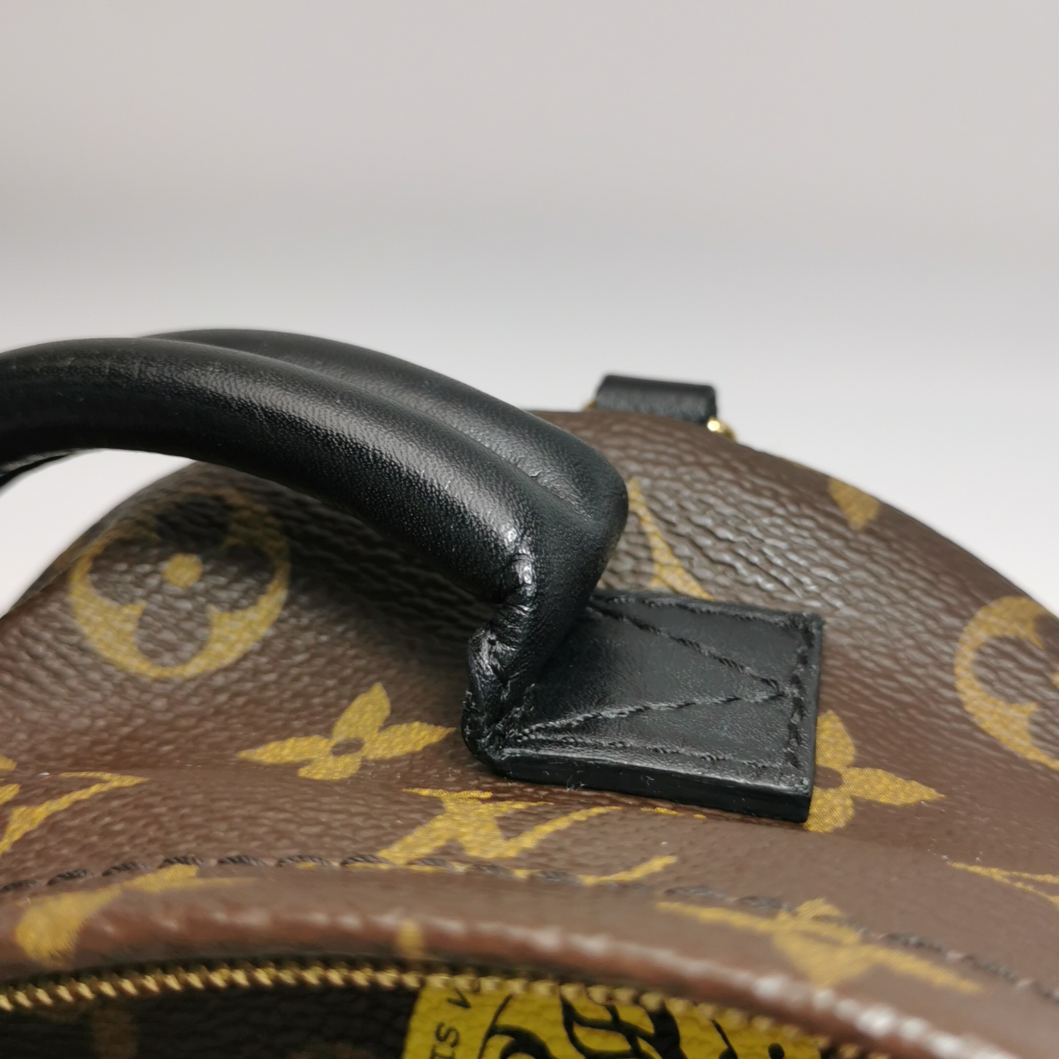 Louis Vuitton(LV) Palm Springs Backpack Limited Edition Monogram Canvas Mini — photo 10 of 14