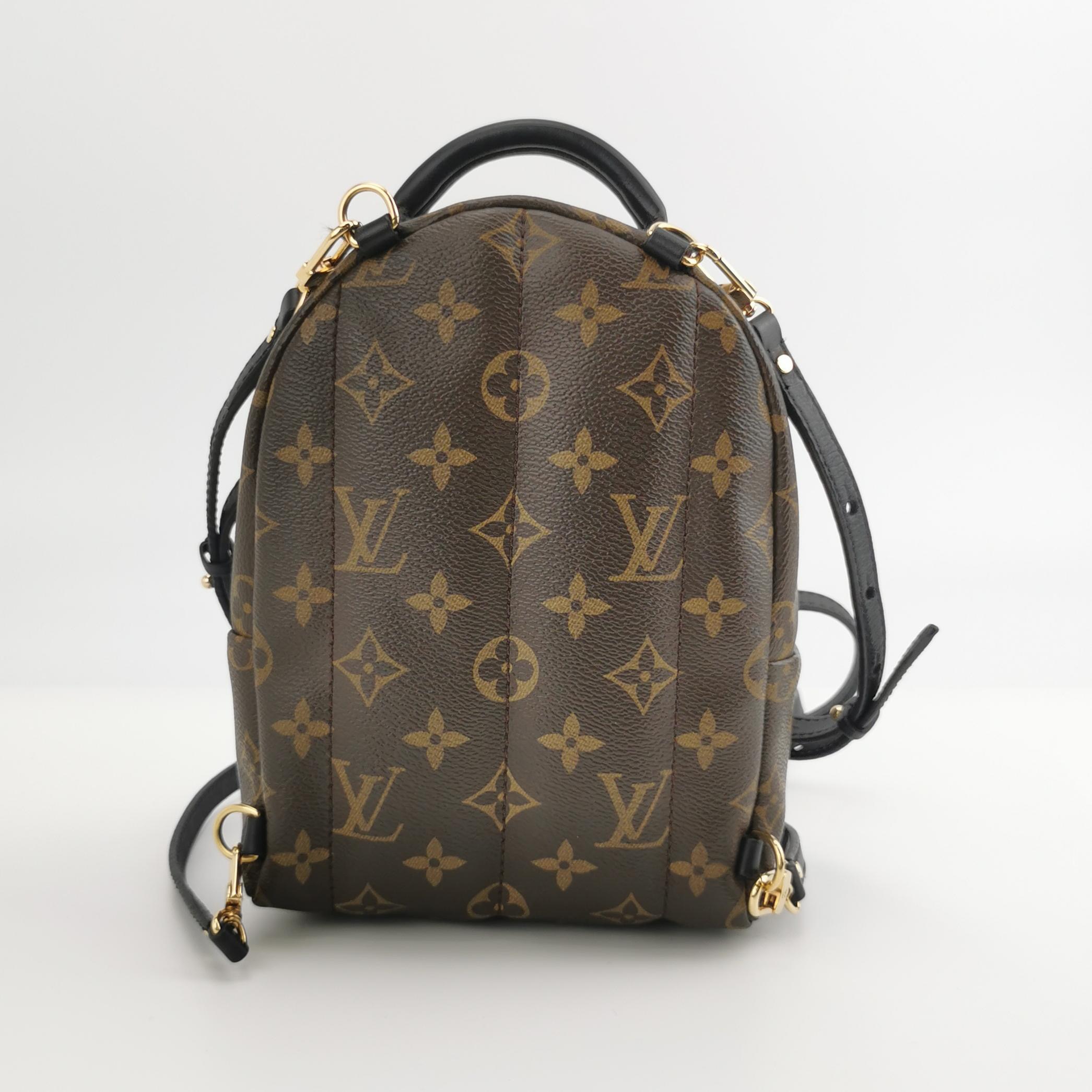 Louis Vuitton(LV) Palm Springs Backpack Limited Edition Monogram Canvas Mini — photo 3 of 12