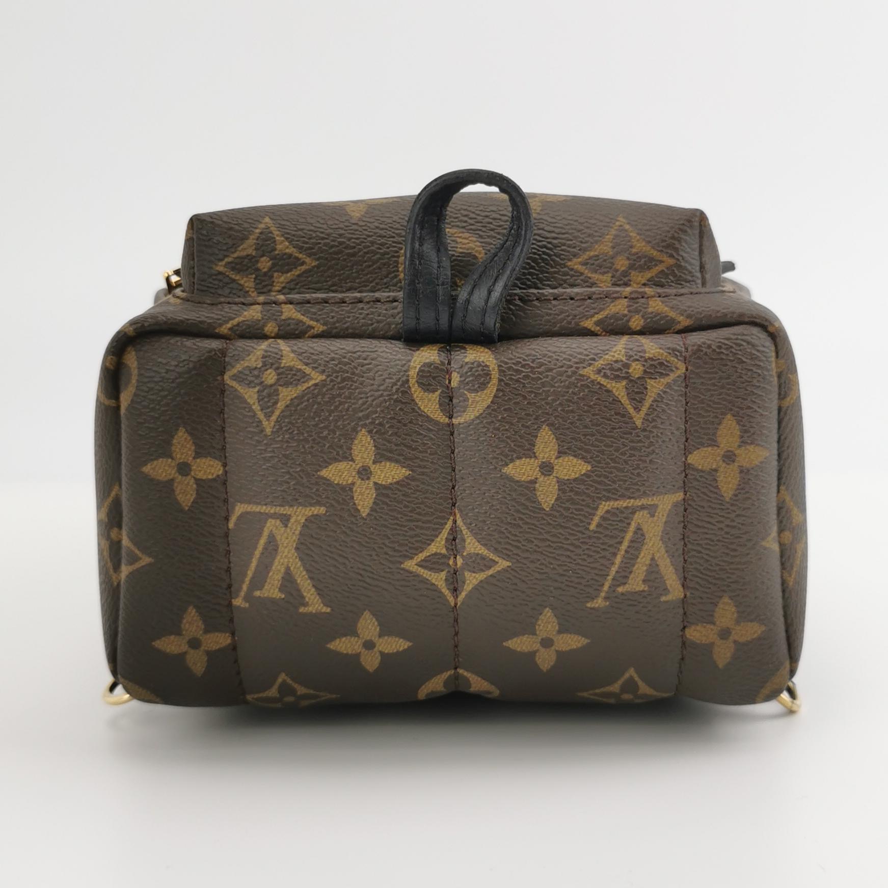 Louis Vuitton(LV) Palm Springs Backpack Limited Edition Monogram Canvas Mini — photo 6 of 12