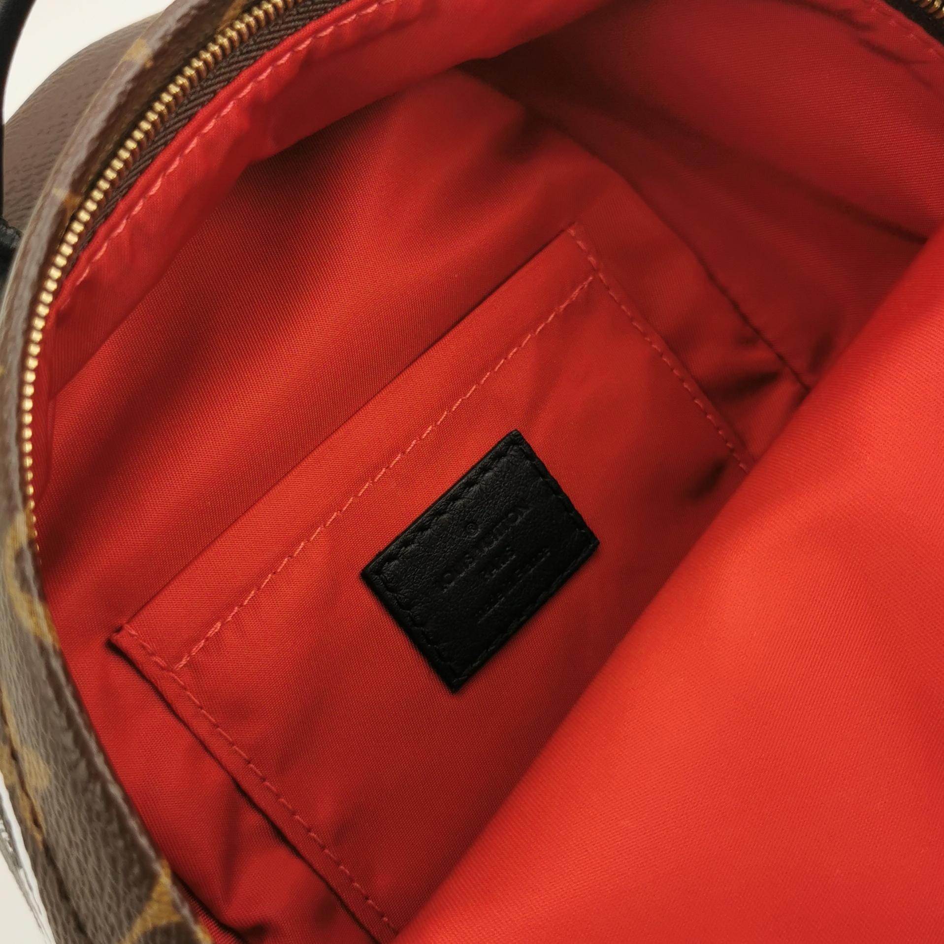 Louis Vuitton(LV) Palm Springs Backpack Limited Edition Monogram Canvas Mini — photo 8 of 12