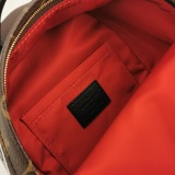 Louis Vuitton(LV) Palm Springs Backpack Limited Edition Monogram Canvas Mini — thumbnail 8