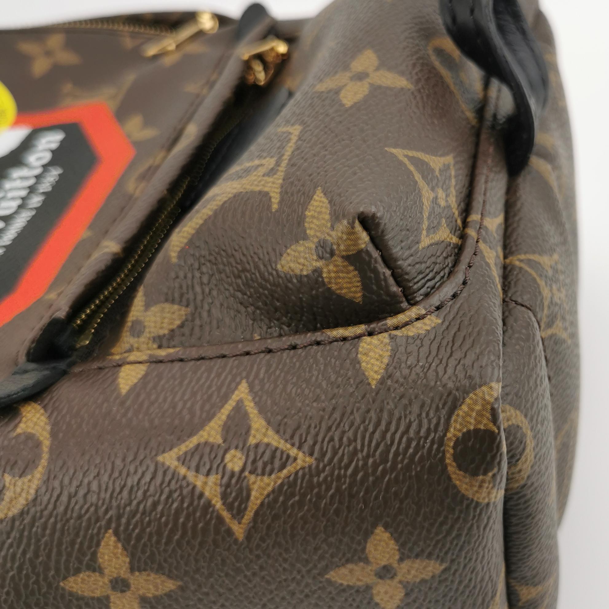 Louis Vuitton(LV) Palm Springs Backpack Limited Edition Monogram Canvas Mini — photo 9 of 12