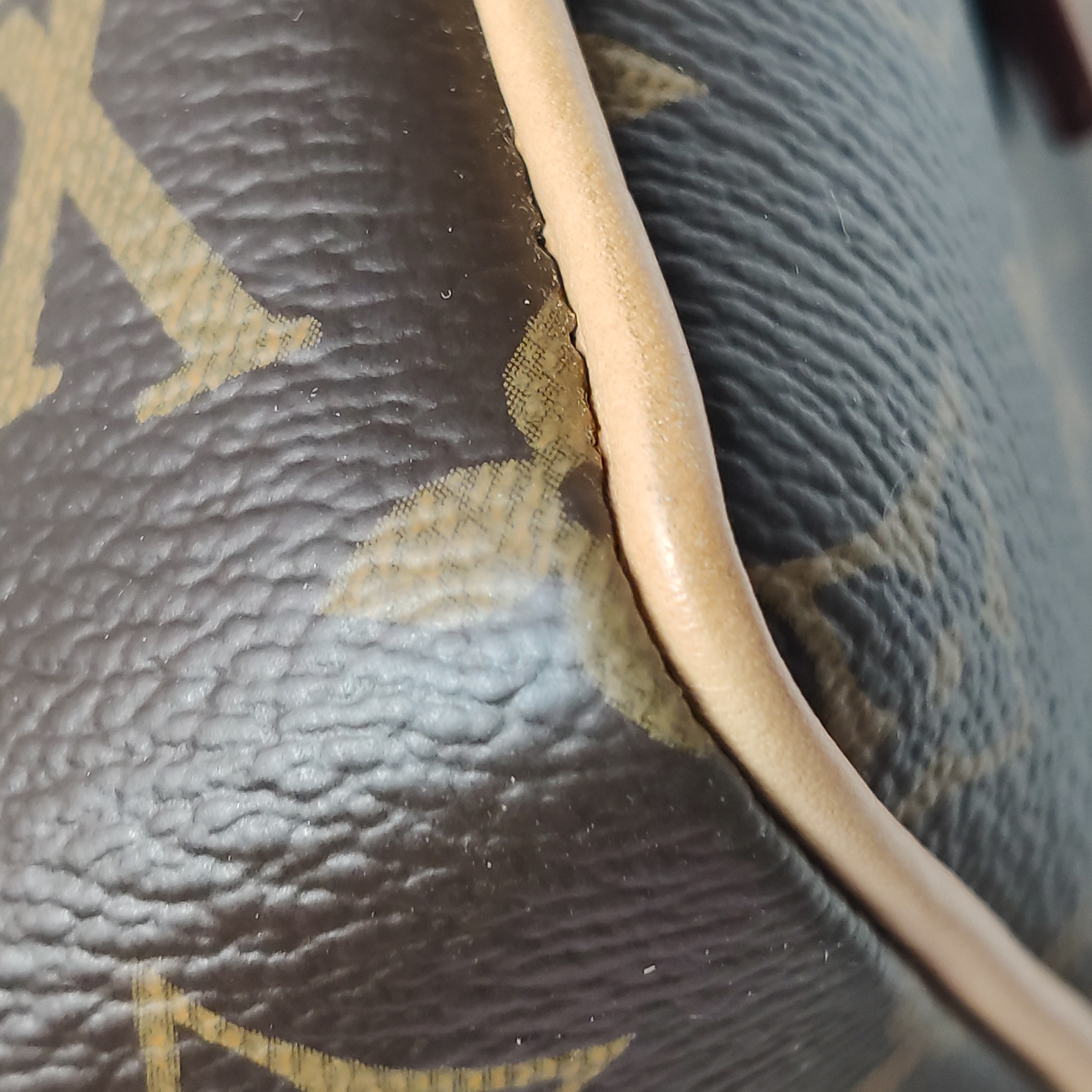 Louis Vuitton(LV) Speedy Bandouliere Bag Monogram Canvas 20 — photo 8 of 15