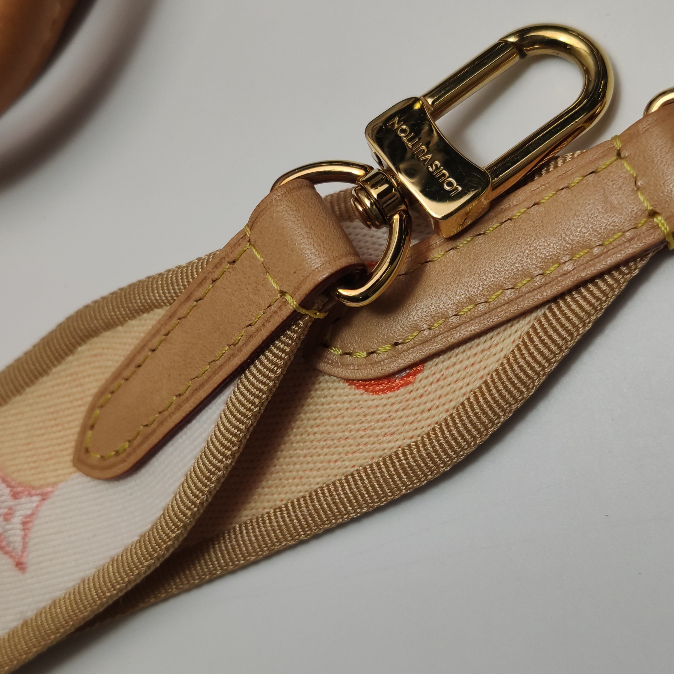 Louis Vuitton(LV) Speedy Bandouliere Bag Monogram Canvas 20 — photo 14 of 15