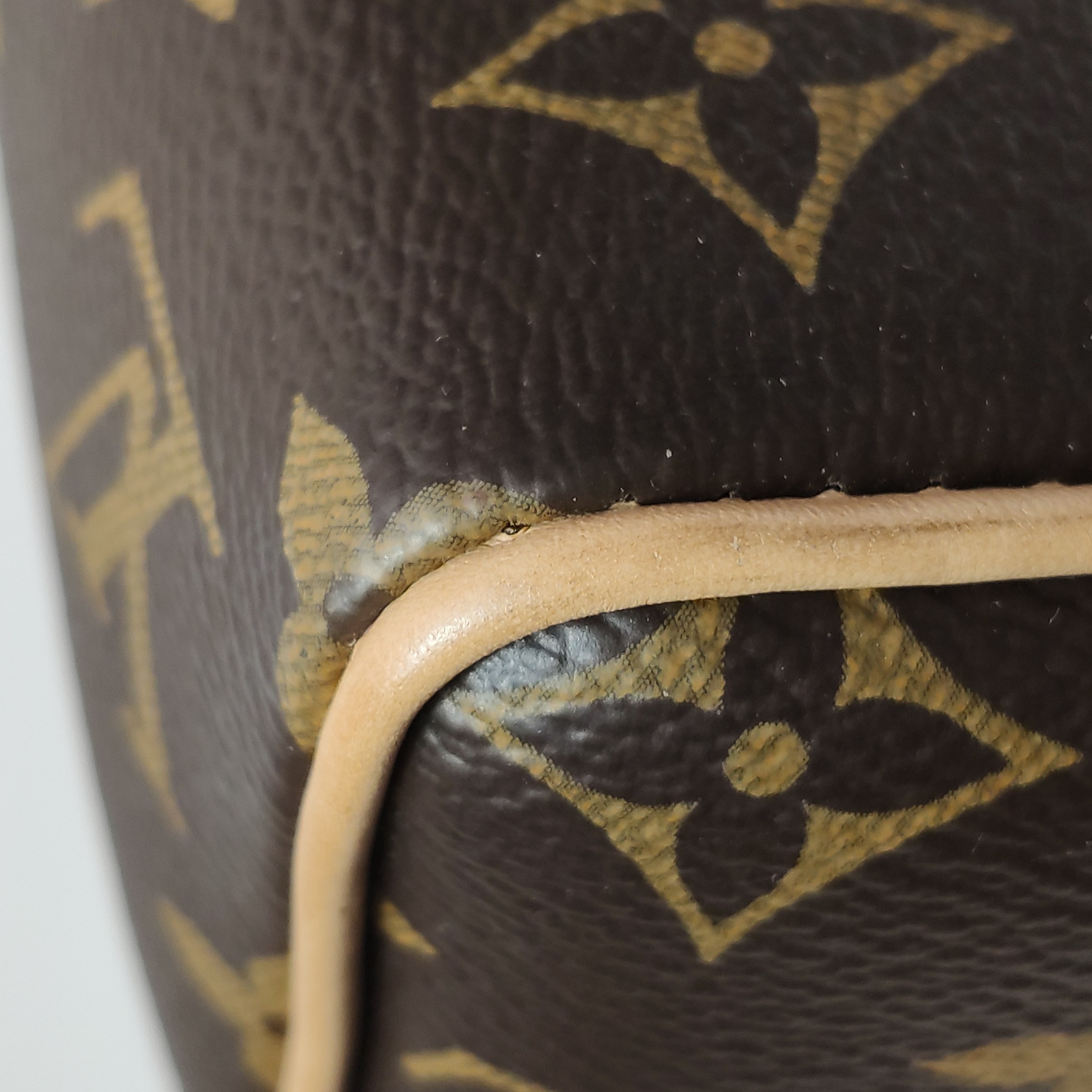 Louis Vuitton(LV) Speedy Bandouliere Bag Monogram Canvas 20 — photo 9 of 15