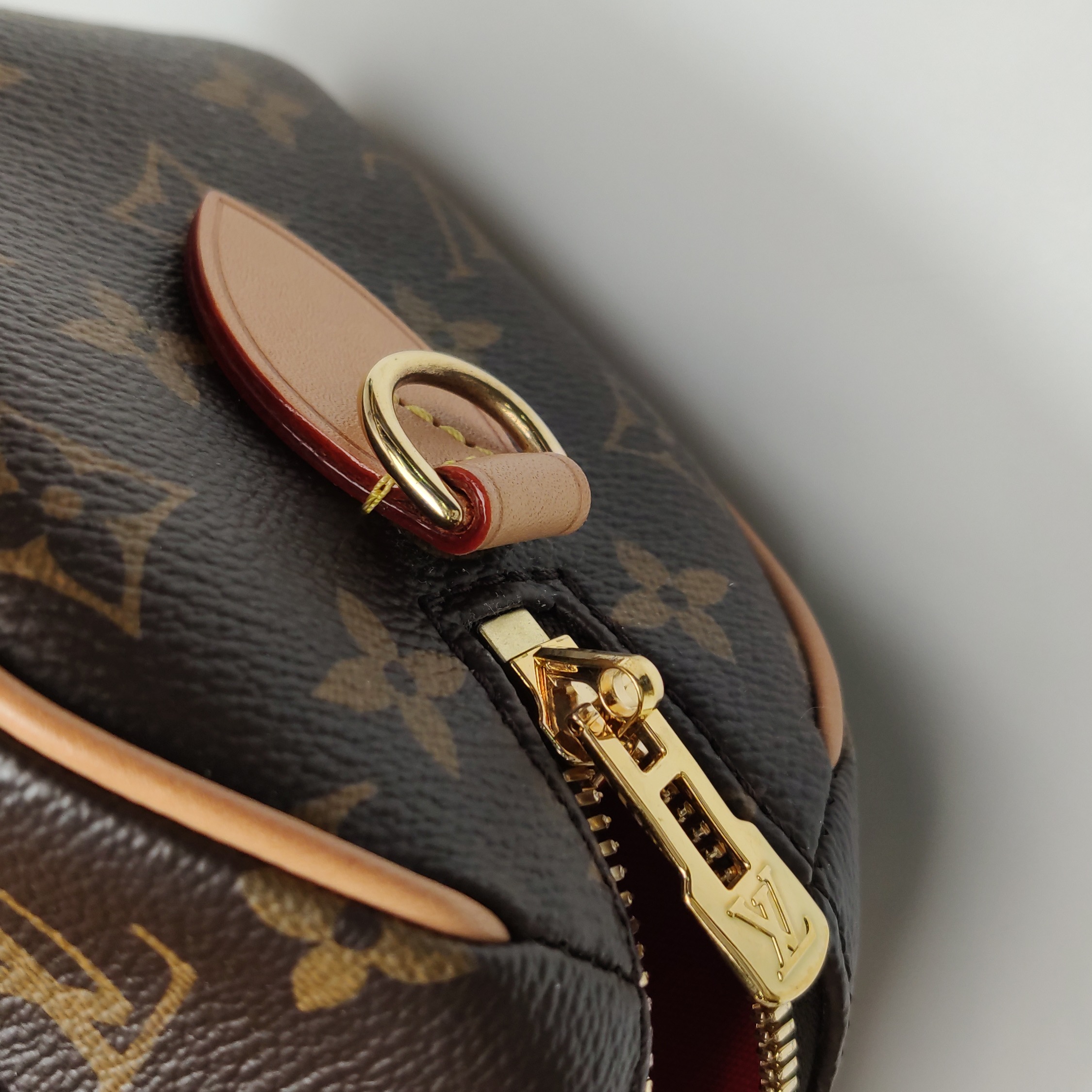 Louis Vuitton(LV) Speedy Bandouliere Bag Monogram Canvas 20 — photo 9 of 13