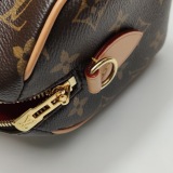 Louis Vuitton(LV) Speedy Bandouliere Bag Monogram Canvas 20 — thumbnail 9