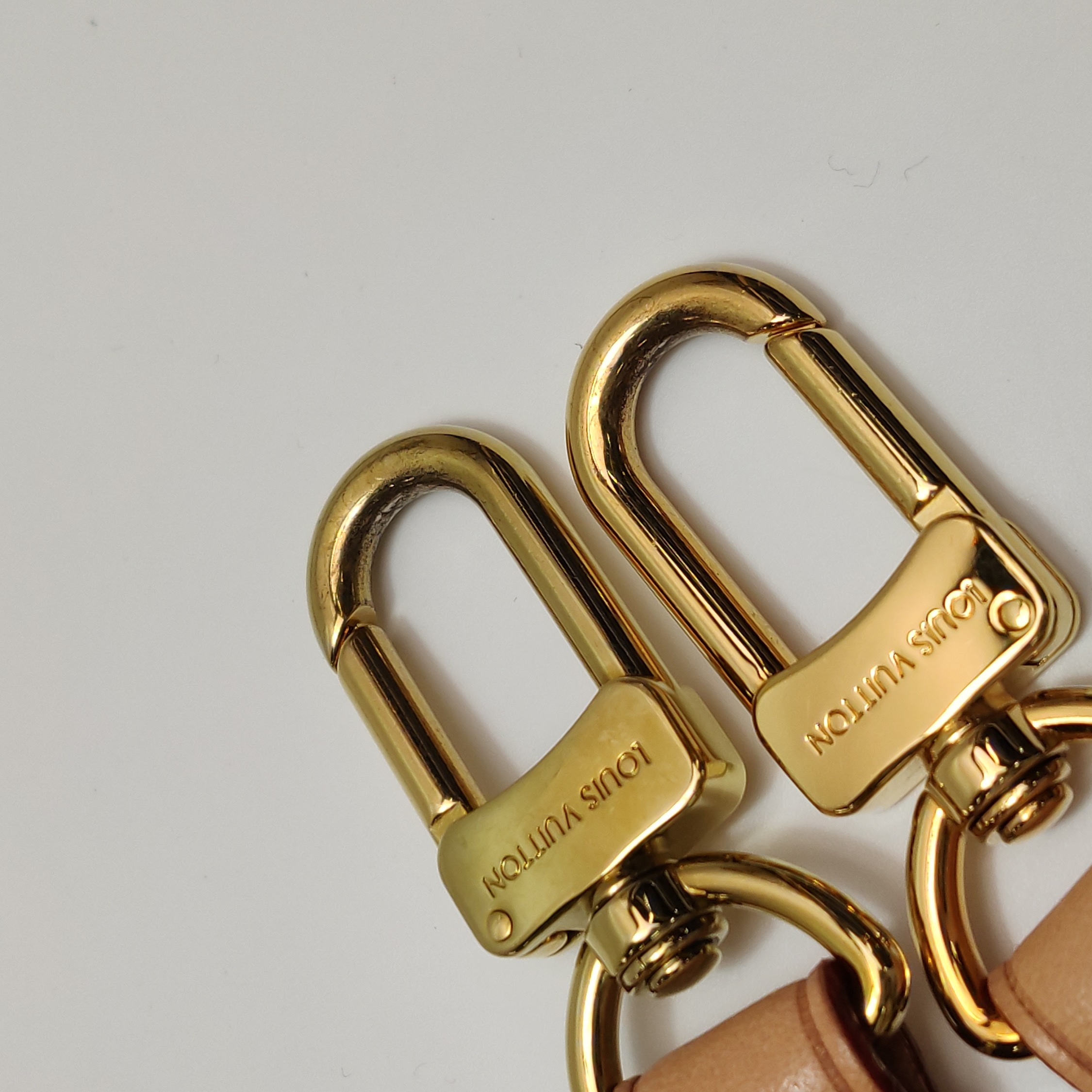 Louis Vuitton(LV) Speedy Bandouliere Bag Monogram Canvas 20 — photo 8 of 13