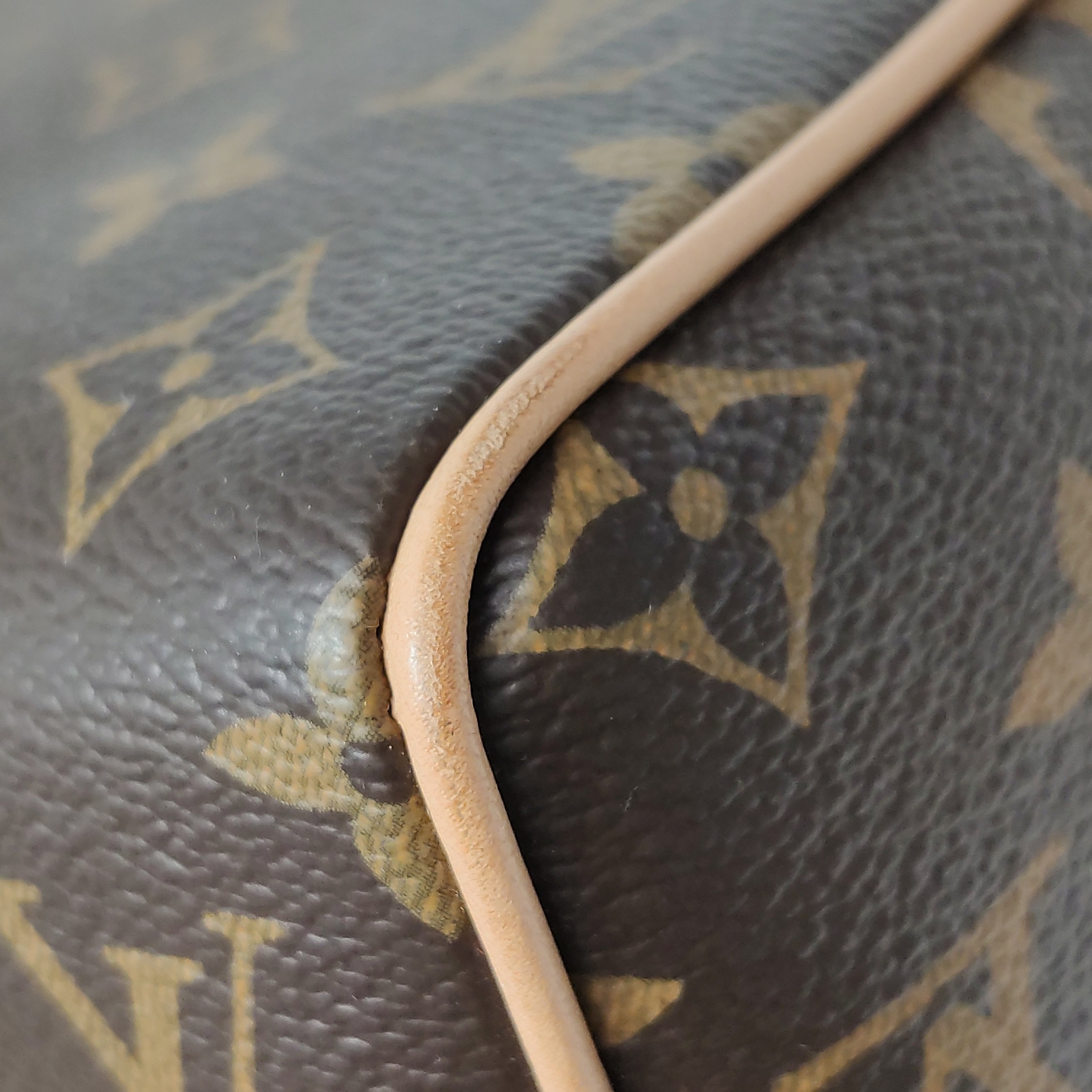 Louis Vuitton(LV) Speedy Bandouliere Bag Monogram Canvas 20 — photo 12 of 13