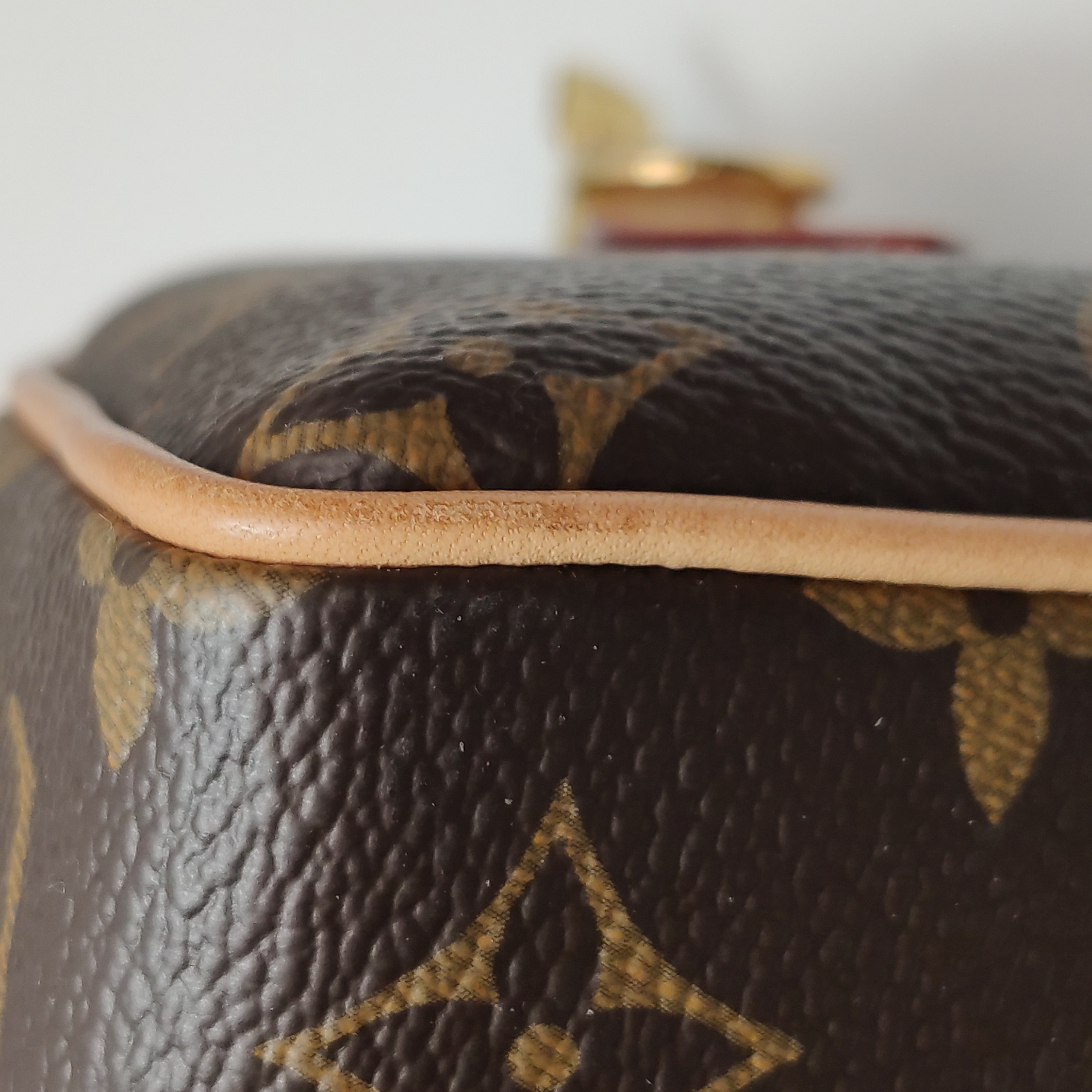 Louis Vuitton(LV) Speedy Bandouliere Bag Monogram Canvas 20 — photo 11 of 13