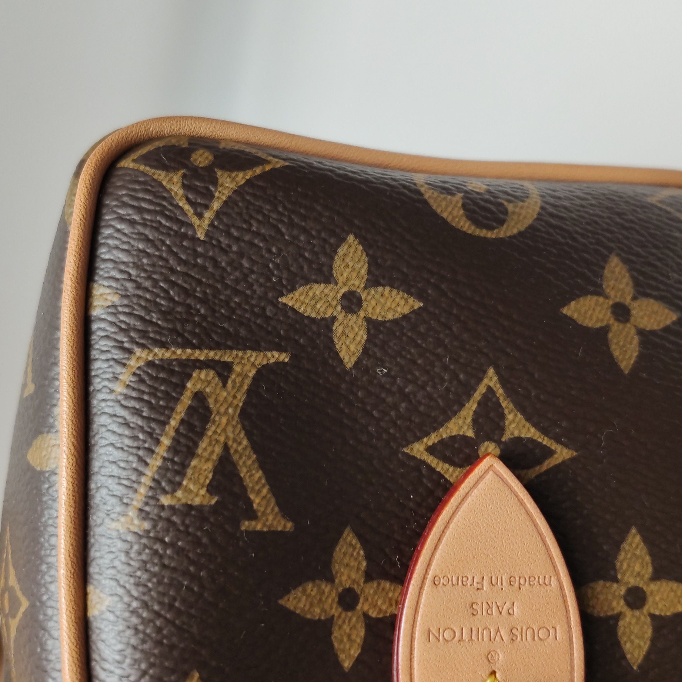 Louis Vuitton(LV) Speedy Bandouliere Bag Monogram Canvas 20 — photo 10 of 13