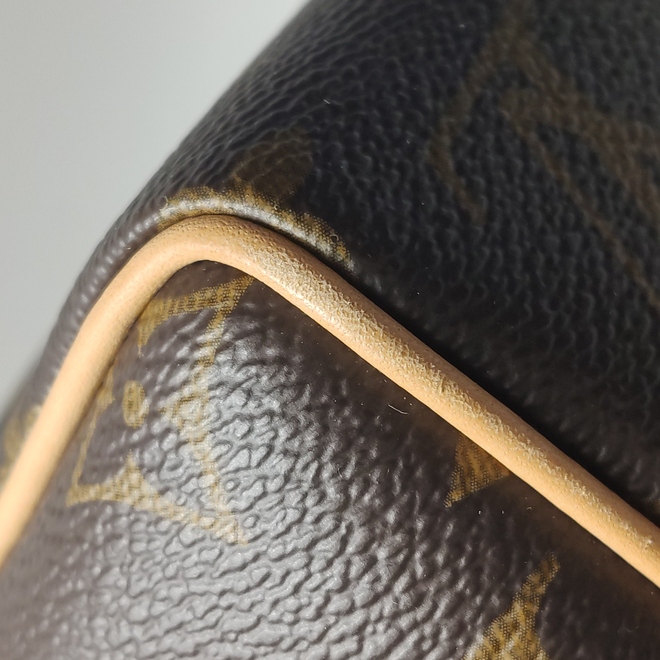 Louis Vuitton(LV) Speedy Bandouliere Bag Monogram Canvas 20 — photo 11 of 14