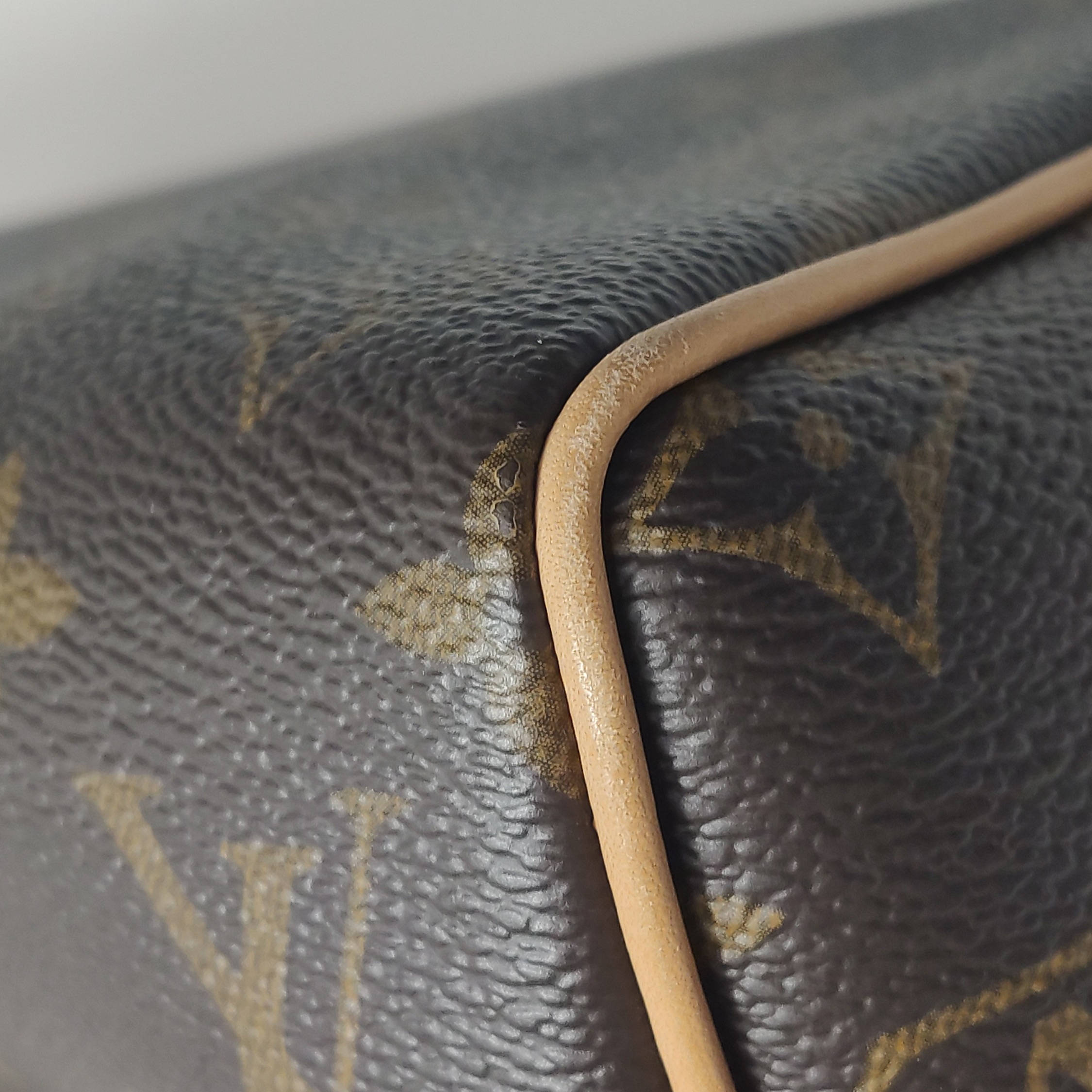 Louis Vuitton(LV) Speedy Bandouliere Bag Monogram Canvas 20 — photo 10 of 14