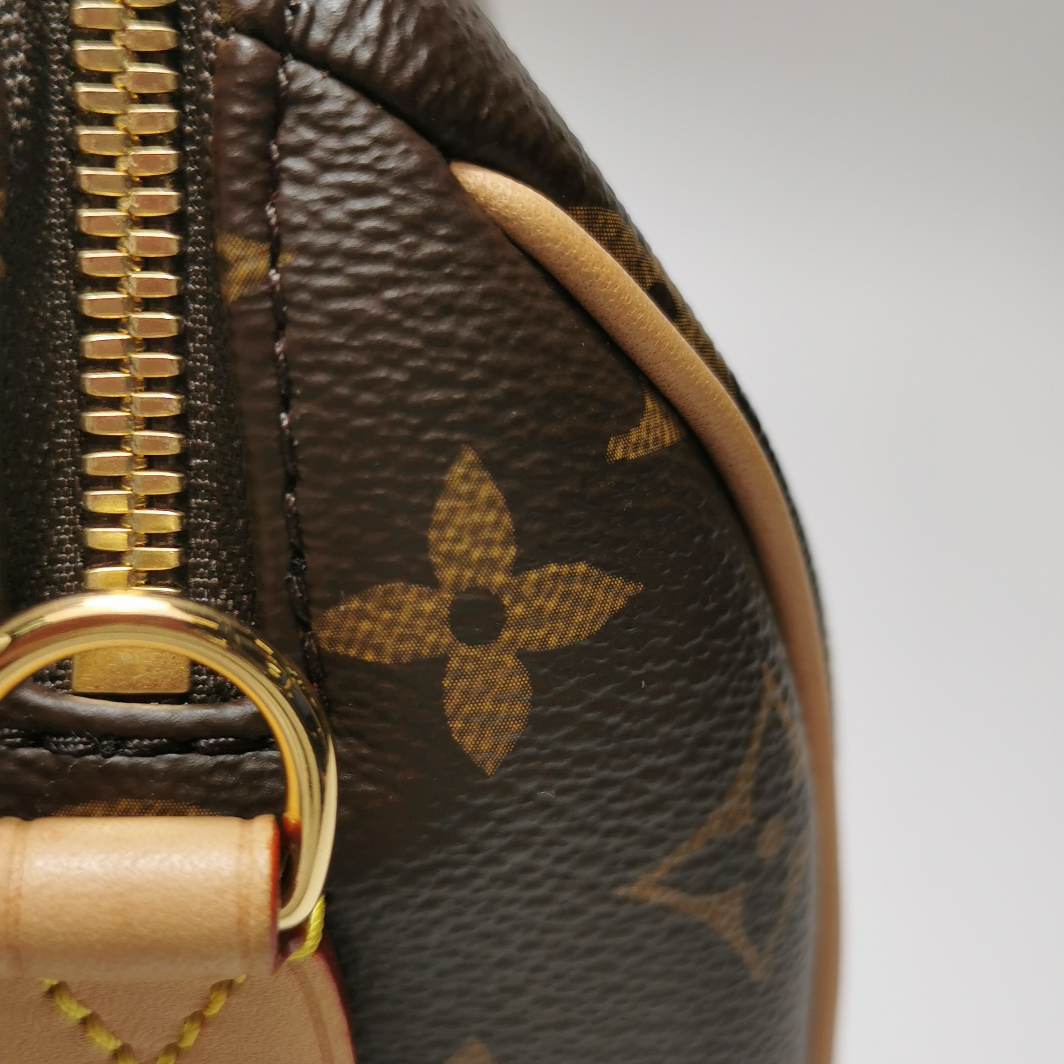 Louis Vuitton(LV) Speedy Bandouliere Bag Monogram Canvas 20 — photo 10 of 15