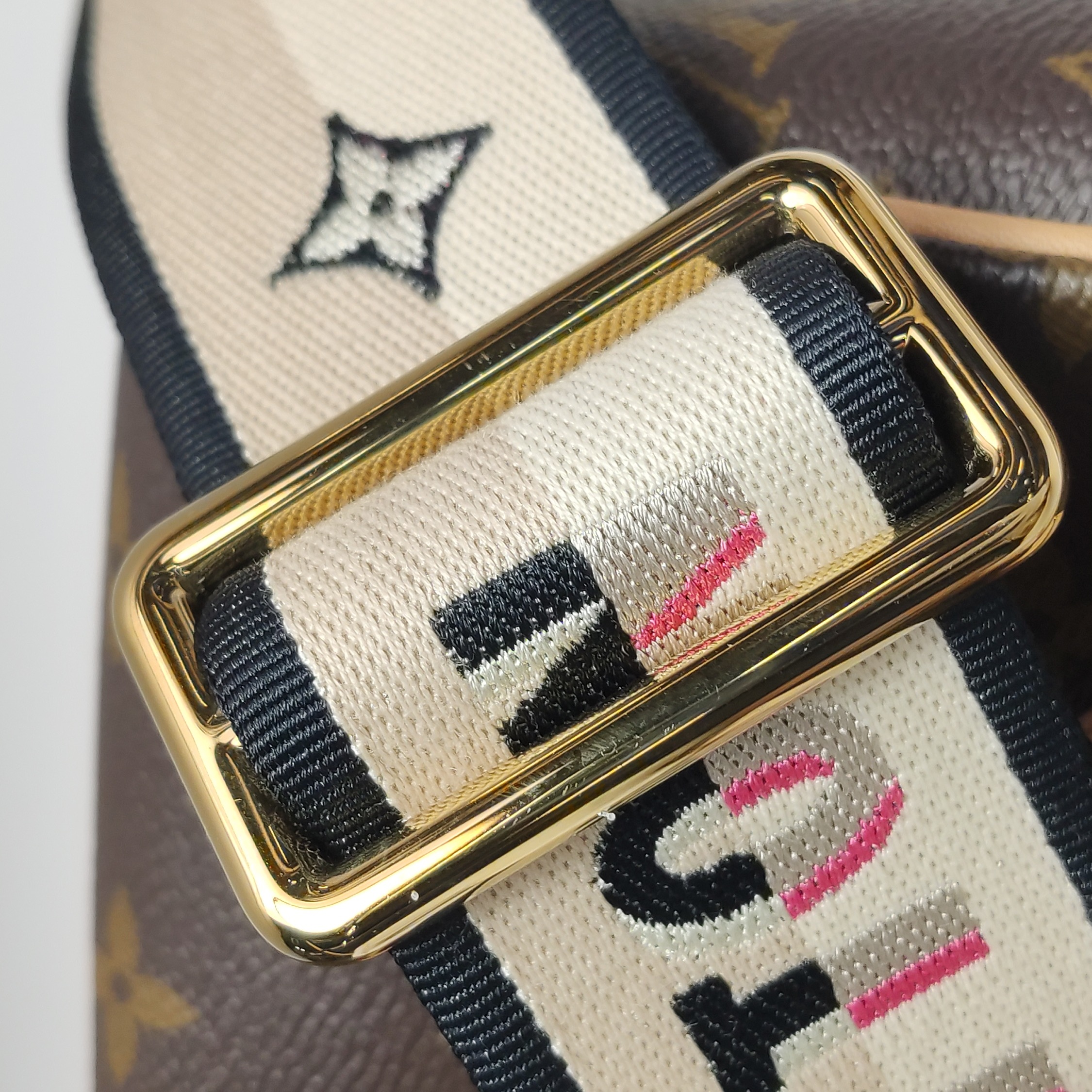 Louis Vuitton(LV) Speedy Bandouliere Bag Monogram Canvas 20 — photo 14 of 15