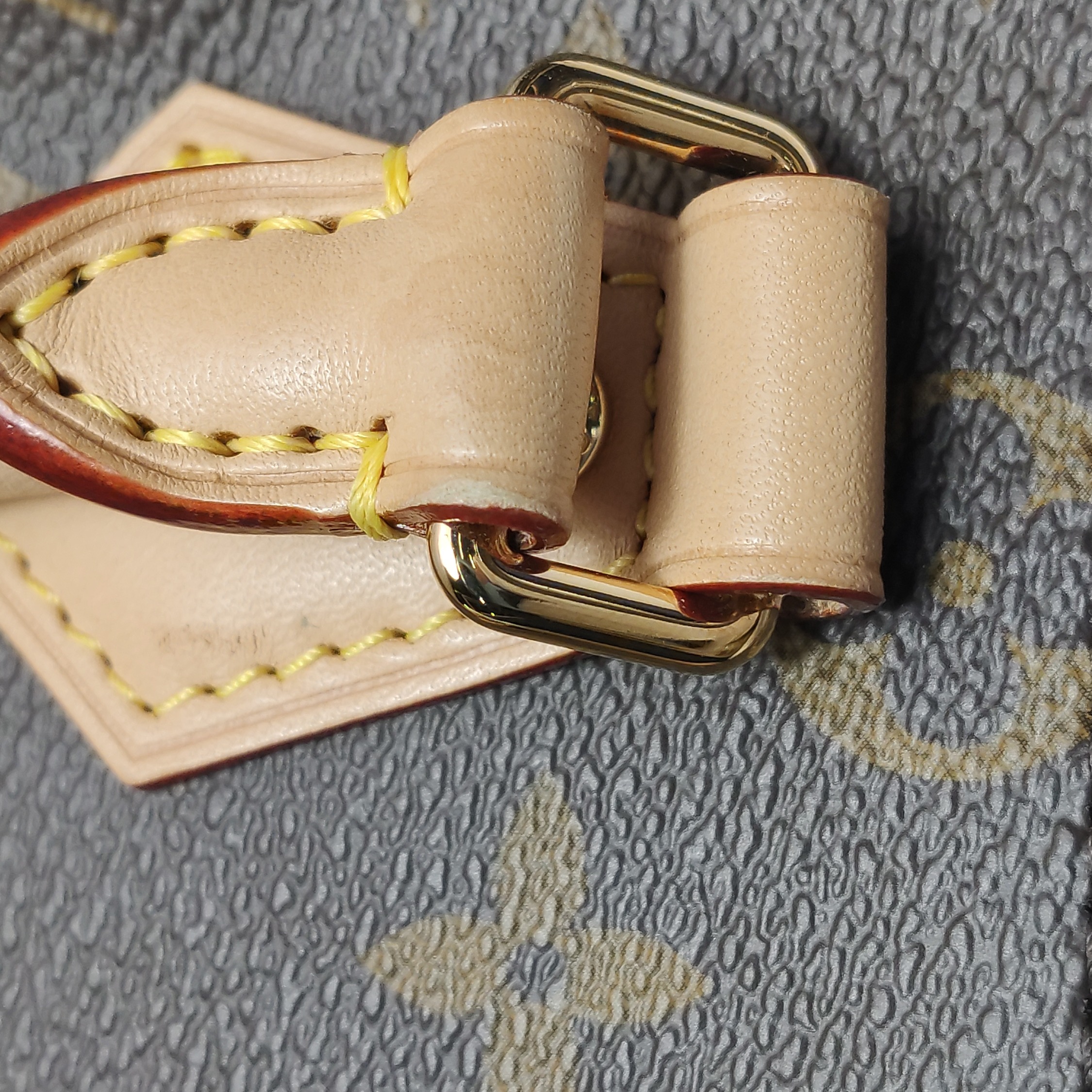 Louis Vuitton(LV) Speedy Bandouliere Bag Monogram Canvas 20 — photo 13 of 15
