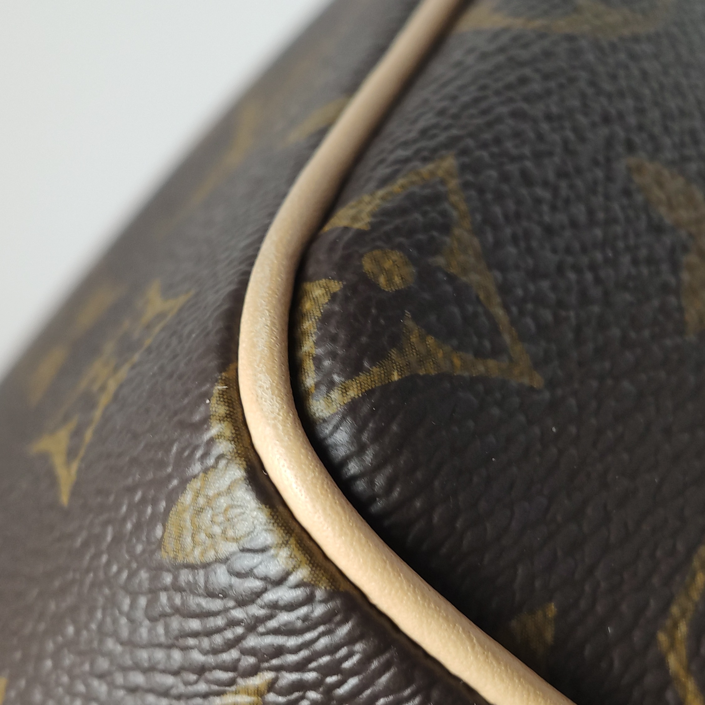 Louis Vuitton(LV) Speedy Bandouliere Bag Monogram Canvas 20 — photo 11 of 15