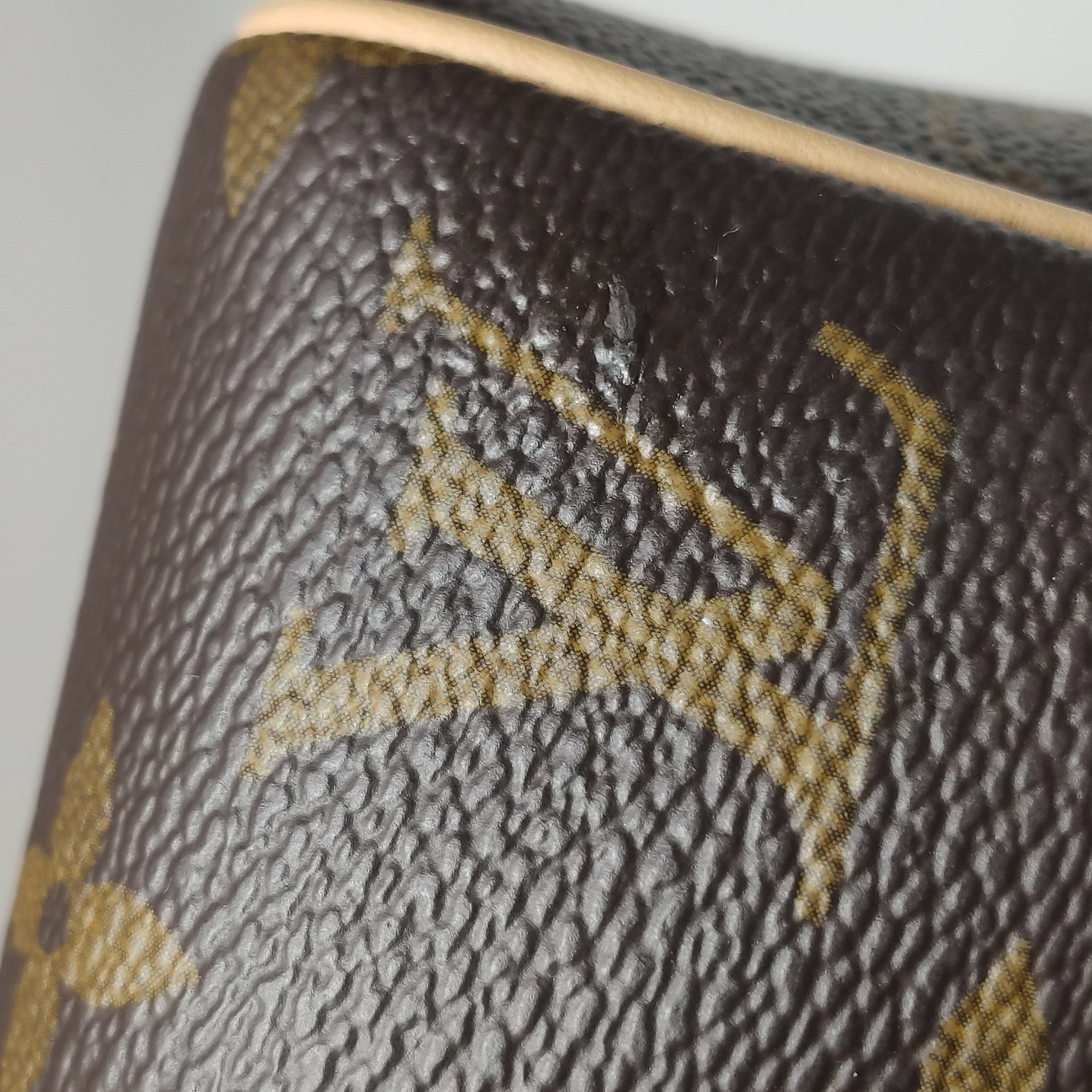 Louis Vuitton(LV) Speedy Bandouliere Bag Monogram Canvas 20 — photo 10 of 15