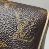 Louis Vuitton(LV) Speedy Bandouliere Bag Monogram Canvas 20 — thumbnail 10