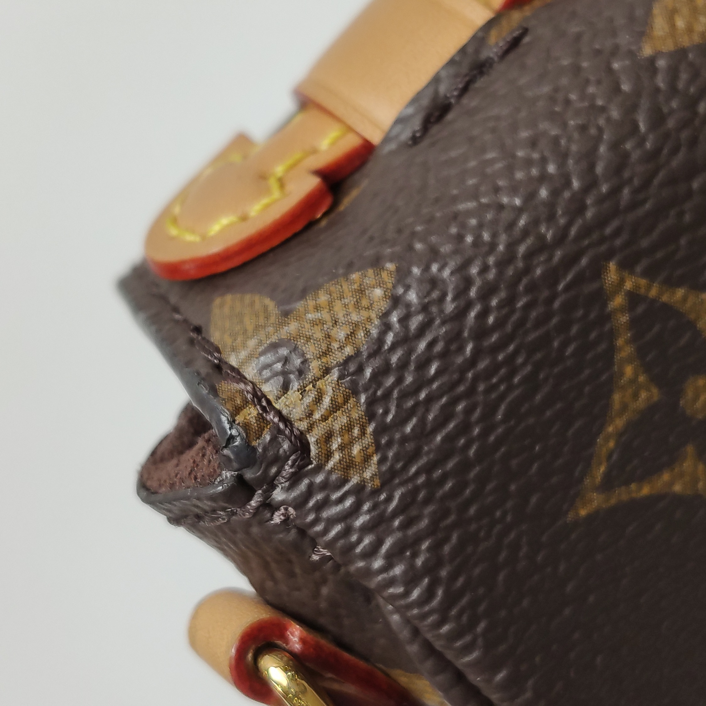 Louis Vuitton(LV) Micro Metis Monogram Canvas — photo 18 of 19