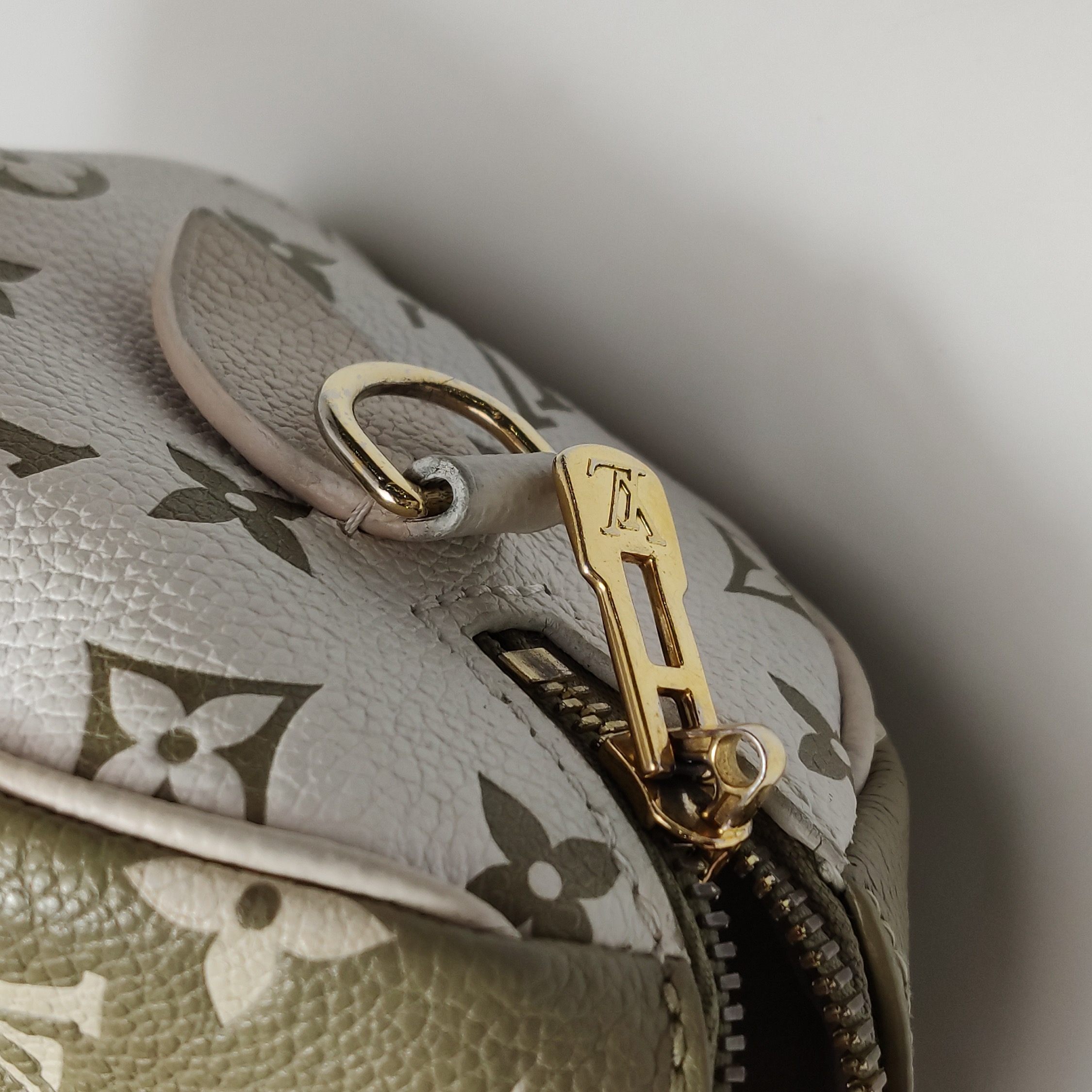 Louis Vuitton(LV) Speedy Bandouliere Bag Spring in the City Monogram Empreinte Leather 20 — photo 9 of 13