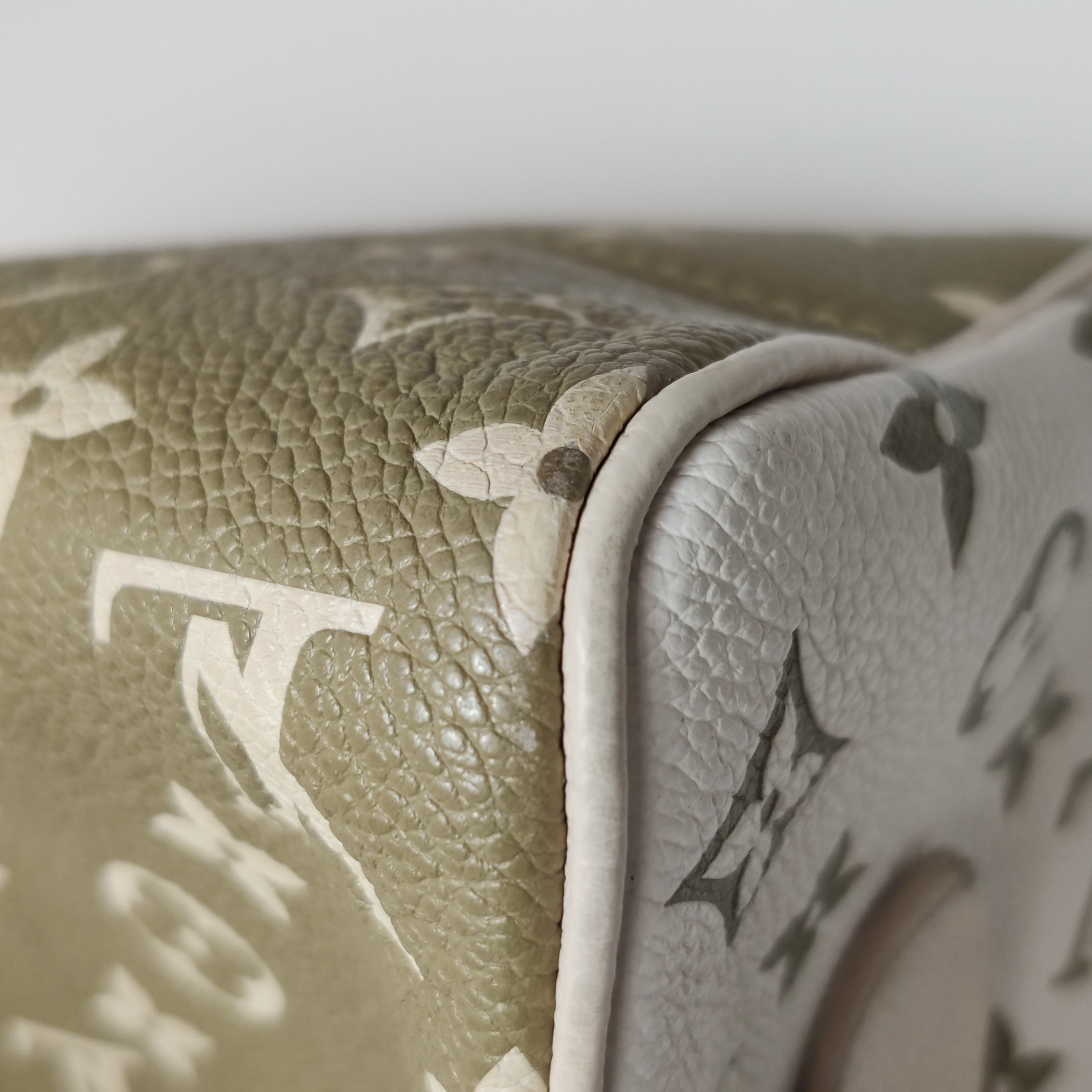 Louis Vuitton(LV) Speedy Bandouliere Bag Spring in the City Monogram Empreinte Leather 20 — photo 11 of 13