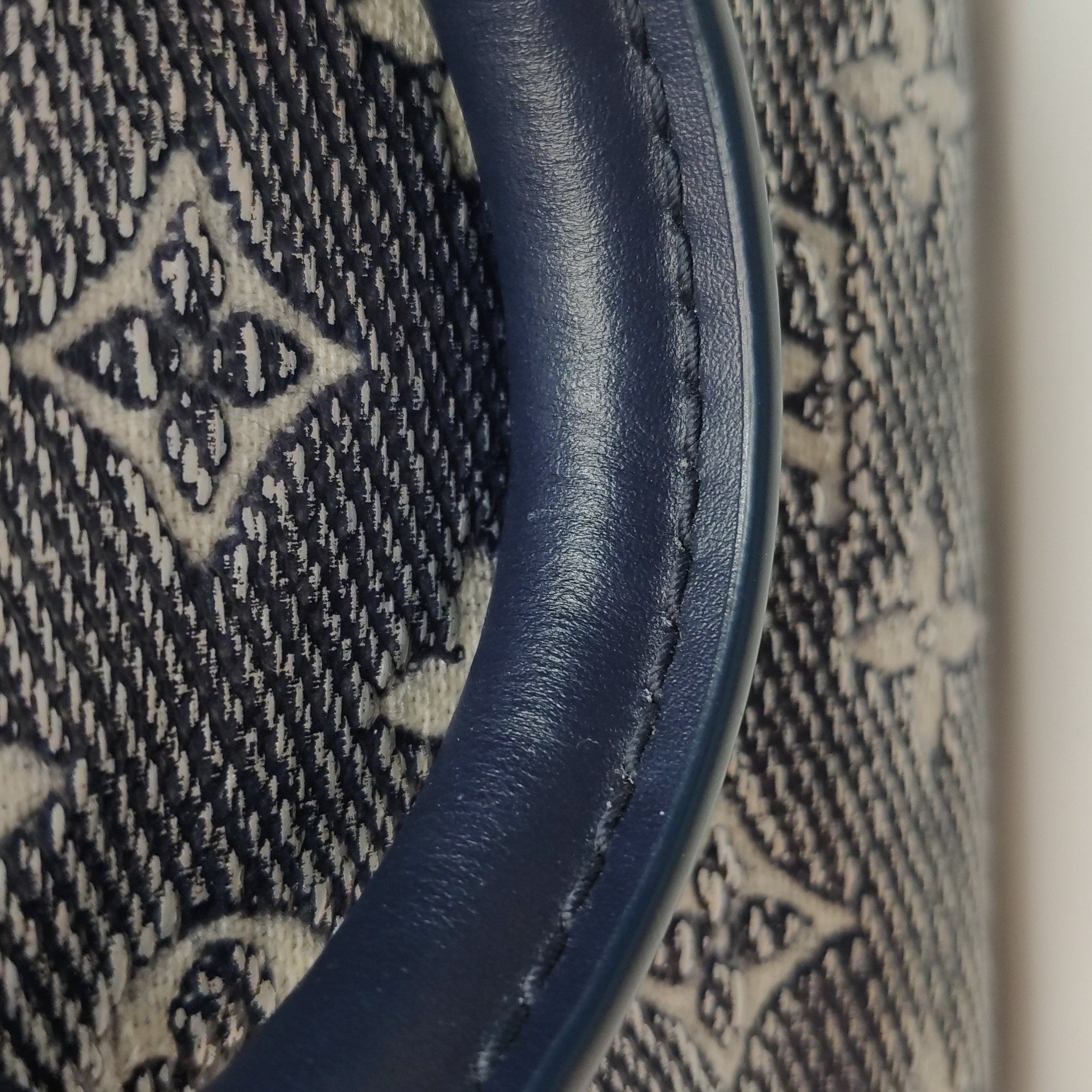 Louis Vuitton(LV) Speedy Bandouliere Bag Monoglam Jacquard Canvas 20 — photo 14 of 14
