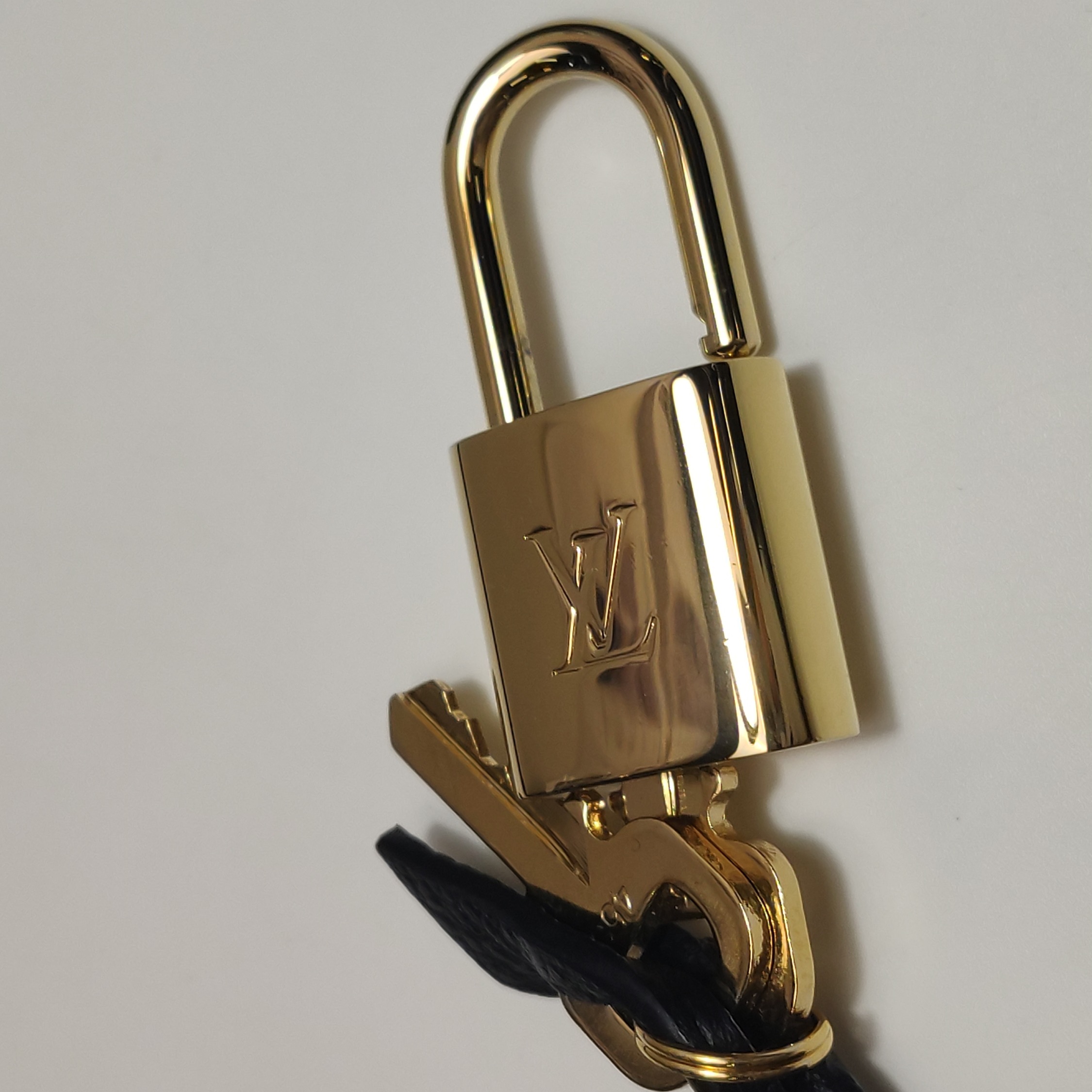 Louis Vuitton(LV) Speedy Bandouliere NM Bag Monogram Empreinte Leather 20 — photo 10 of 14