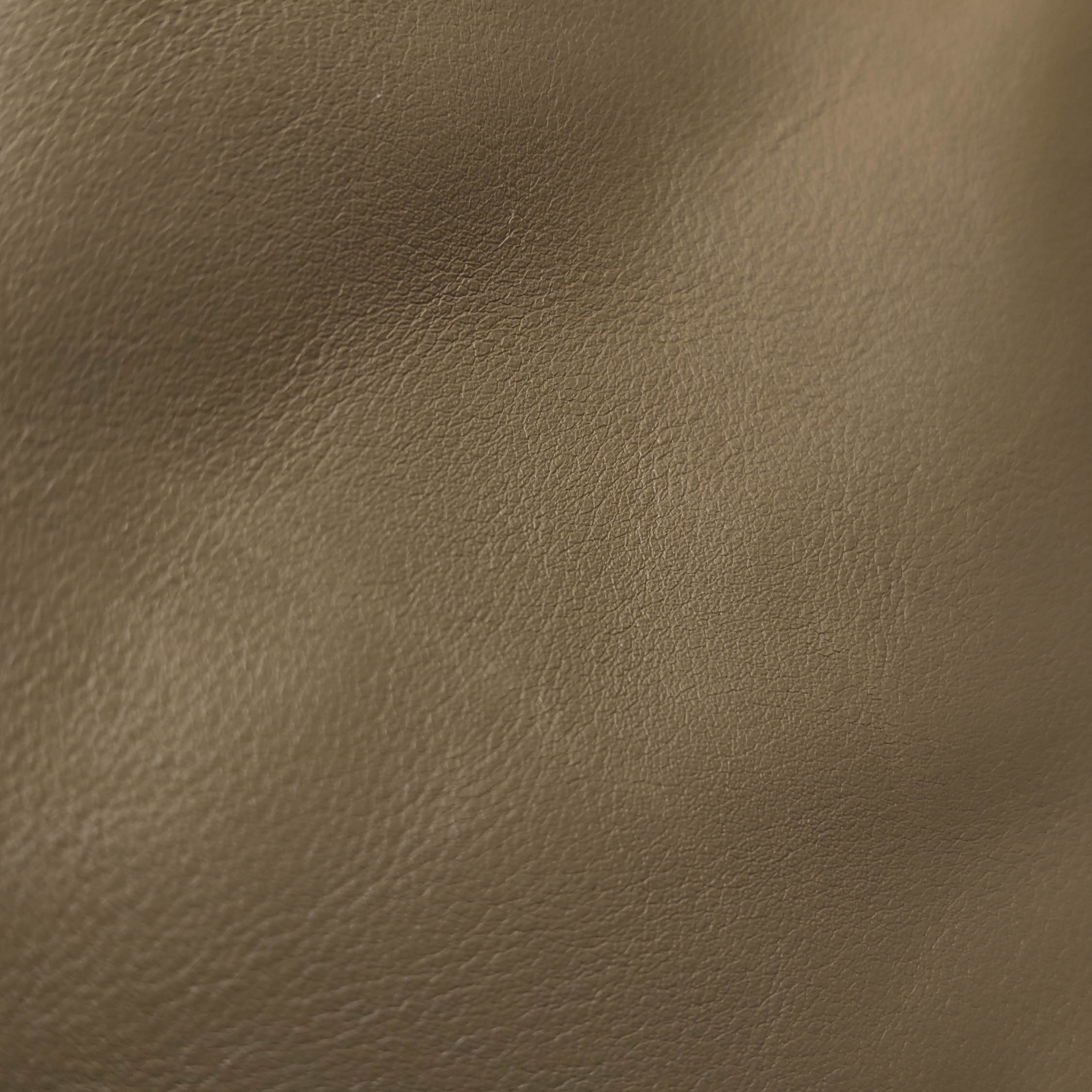 Bottega Veneta The Chain Pouch Leather — photo 12 of 18