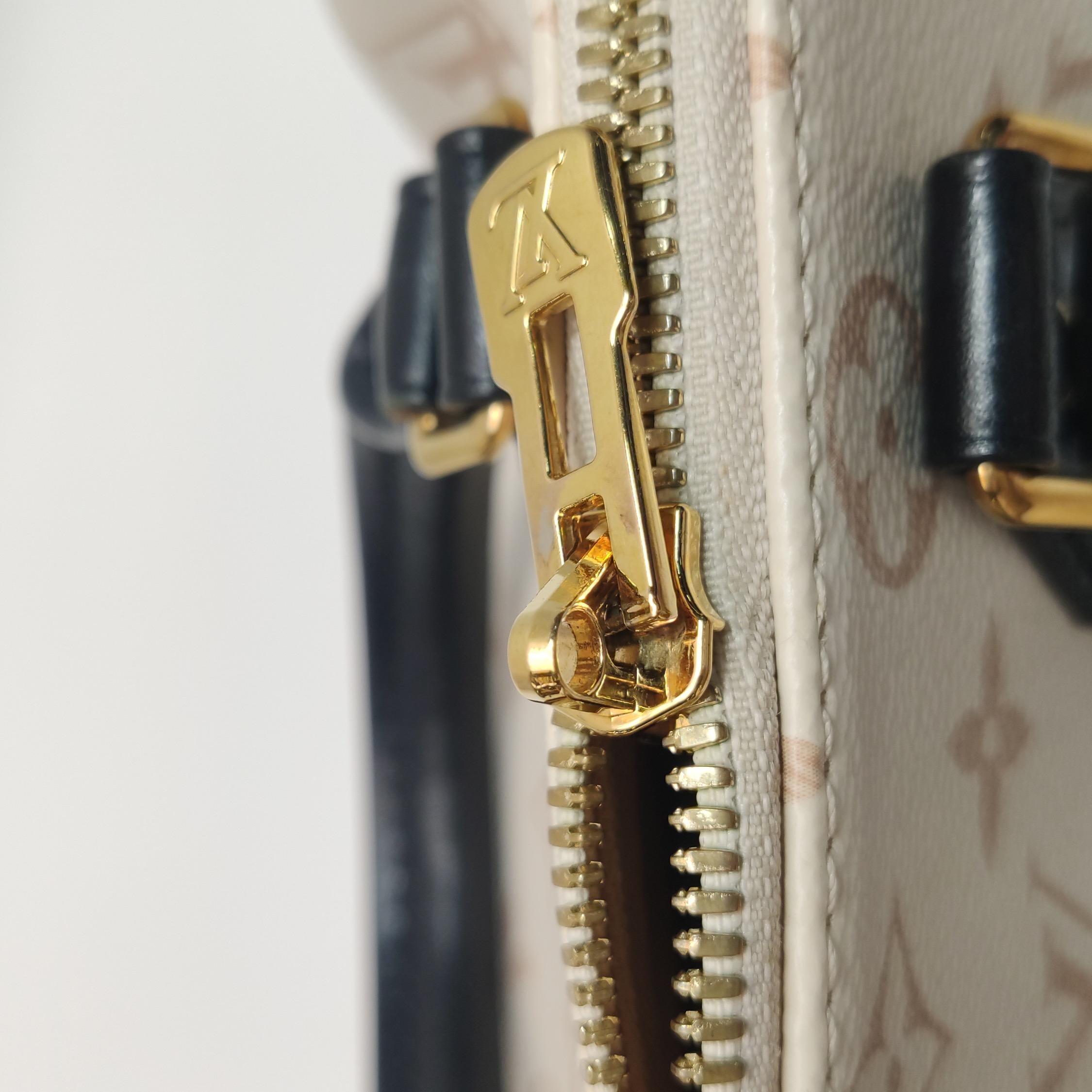Louis Vuitton Speedy Bandouliere Bag Monogram Dune Canvas 20 — photo 11 of 15