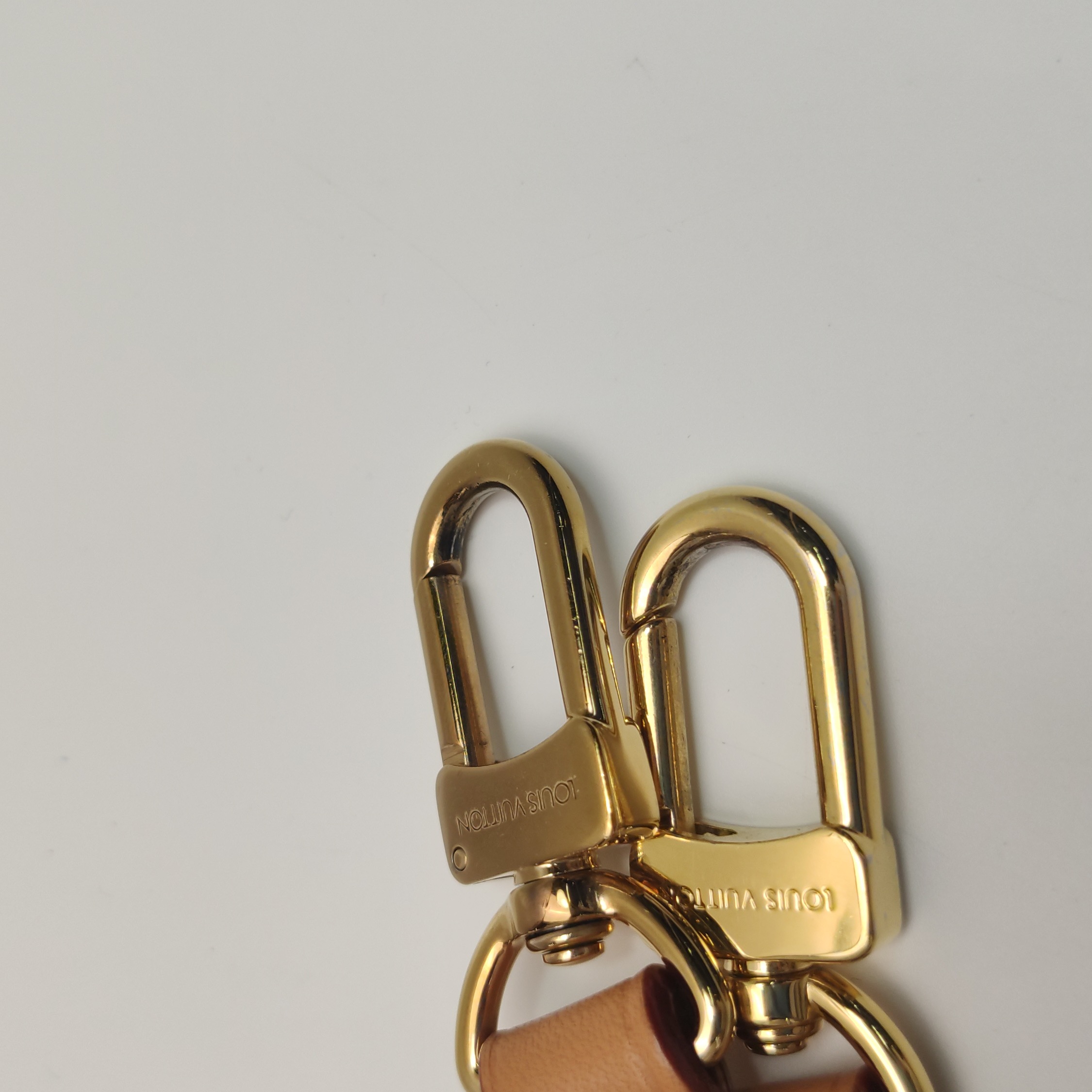 Louis Vuitton Speedy Bandouliere Bag Monogram Dune Canvas 20 — photo 8 of 15