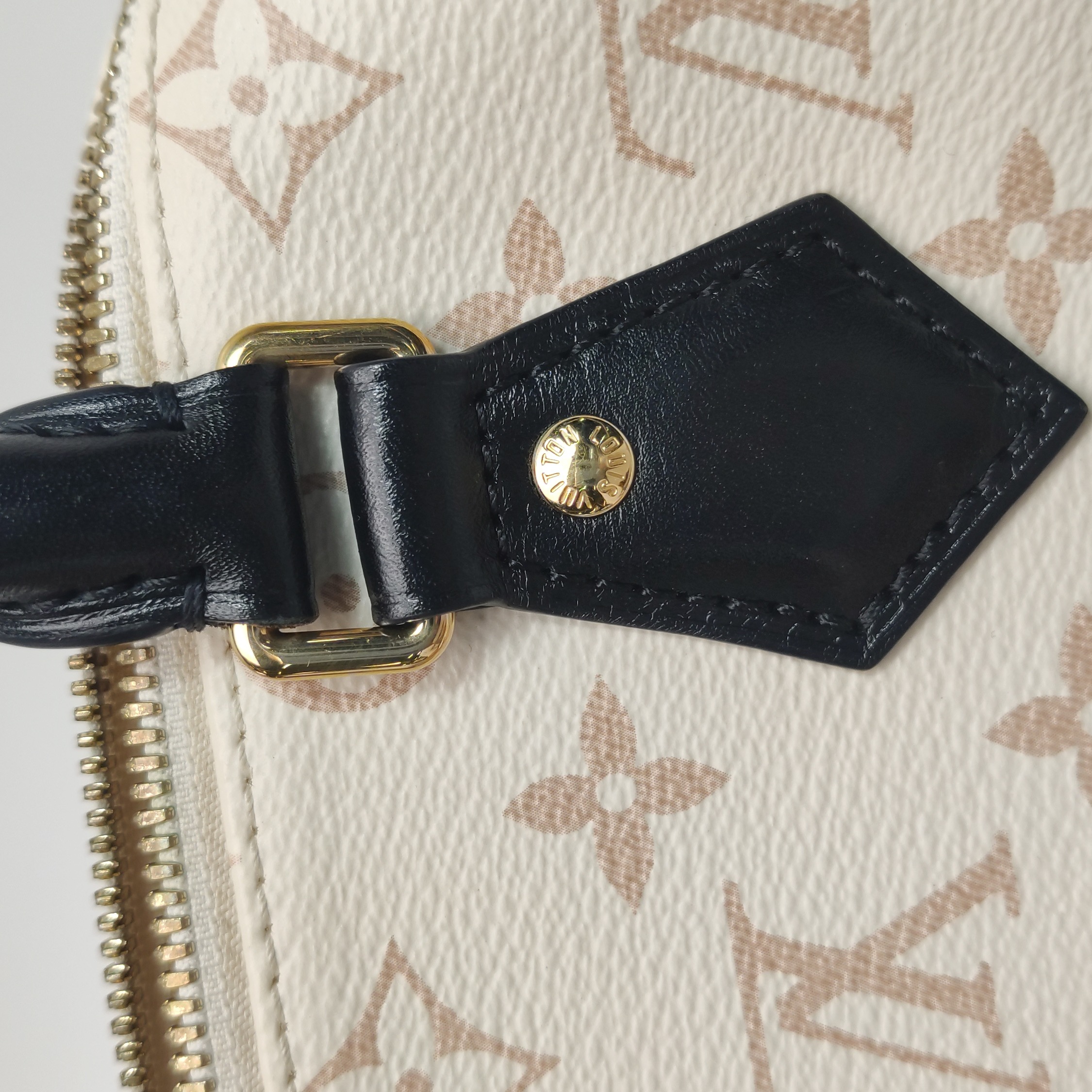 Louis Vuitton Speedy Bandouliere Bag Monogram Dune Canvas 20 — photo 7 of 15