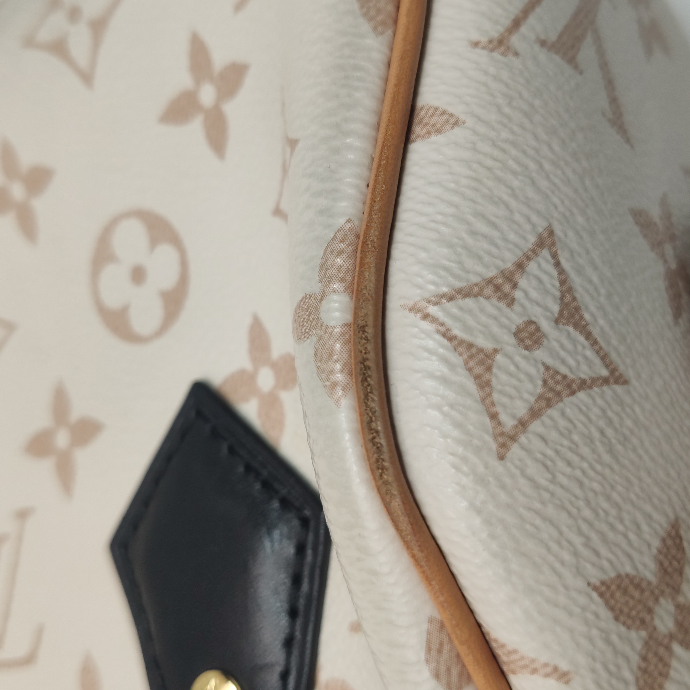 Louis Vuitton Speedy Bandouliere Bag Monogram Dune Canvas 20 — photo 13 of 15