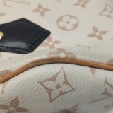 Louis Vuitton Speedy Bandouliere Bag Monogram Dune Canvas 20 — thumbnail 13