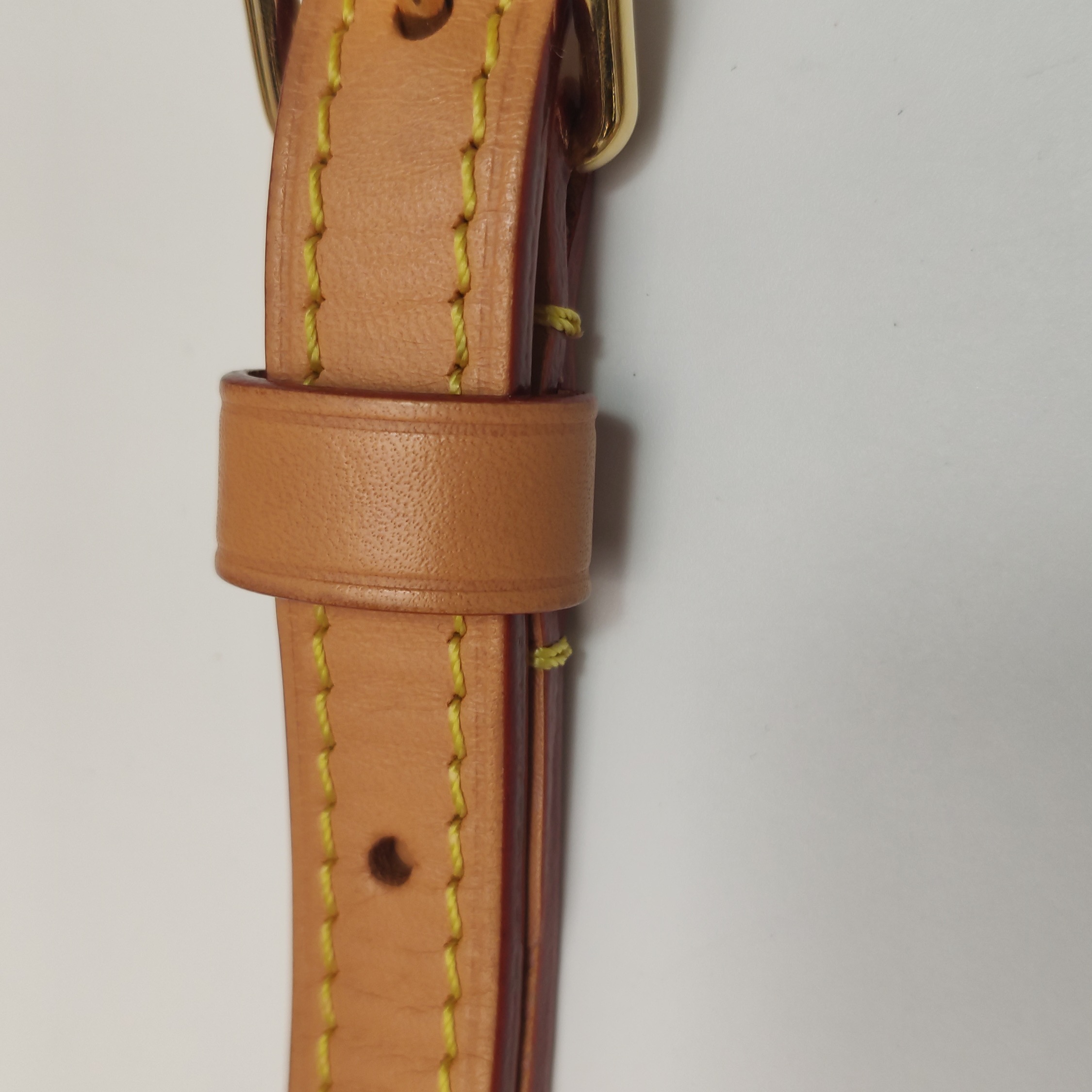 Louis Vuitton Speedy Bandouliere Bag Monogram Dune Canvas 20 — photo 15 of 15